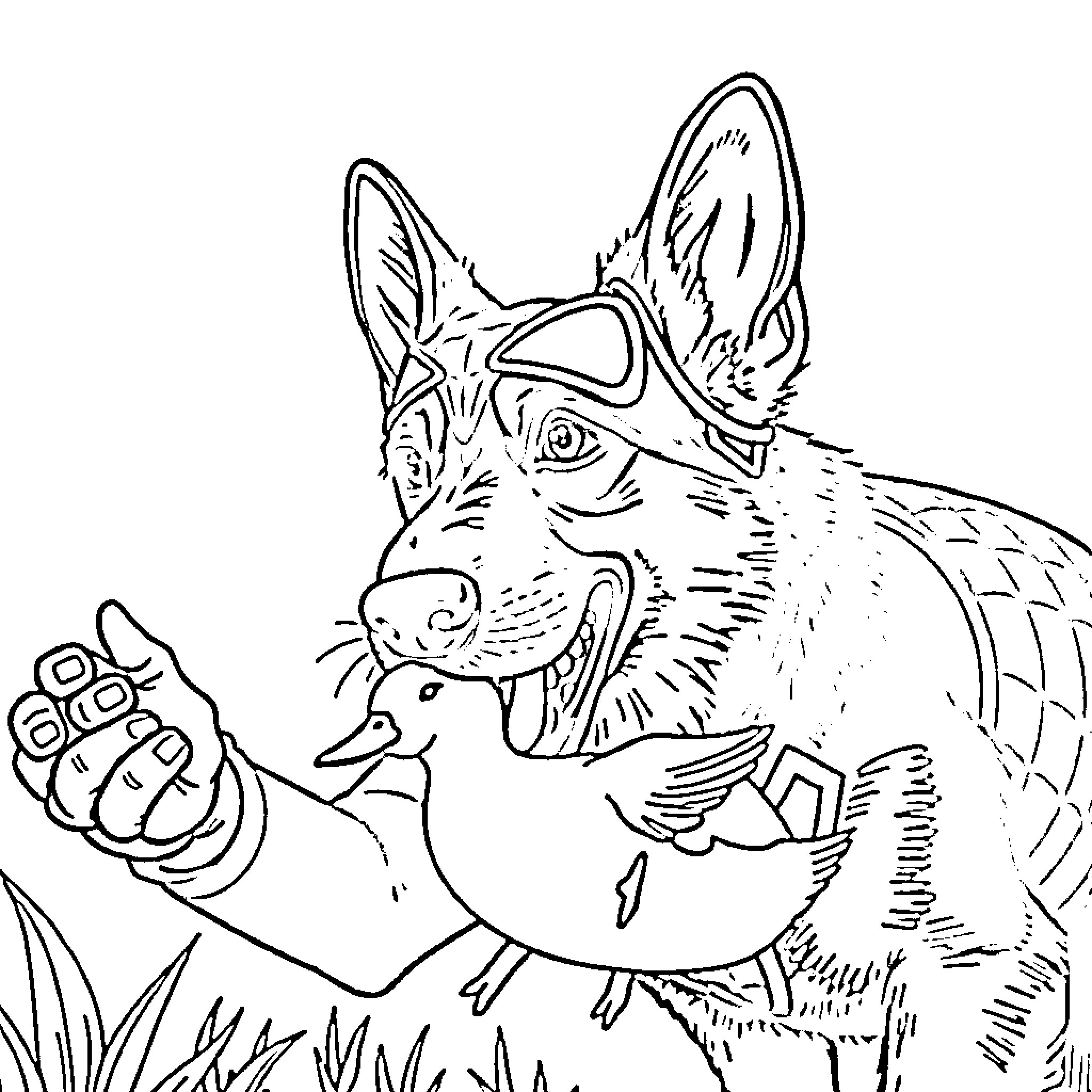 German Shepherd playing in nature Coloring Page (free black-and-white line drawing printable PDF for all, from beginners to advanced learners, including children, teens, adults, and seniors)