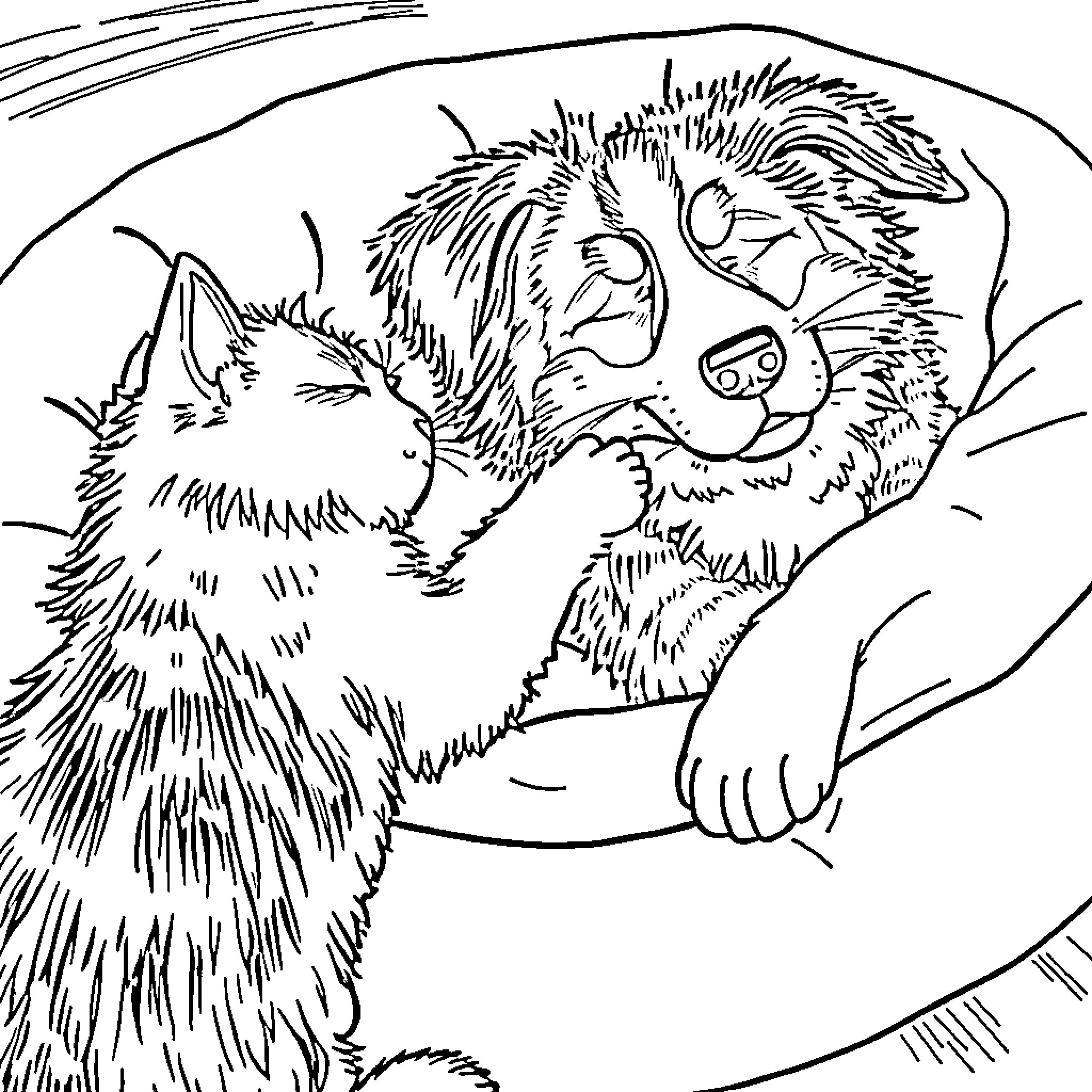 Cats cuddling affectionately in winter Coloring Page (free black-and-white line drawing printable PDF for all, from beginners to advanced learners, including children, teens, adults, and seniors)