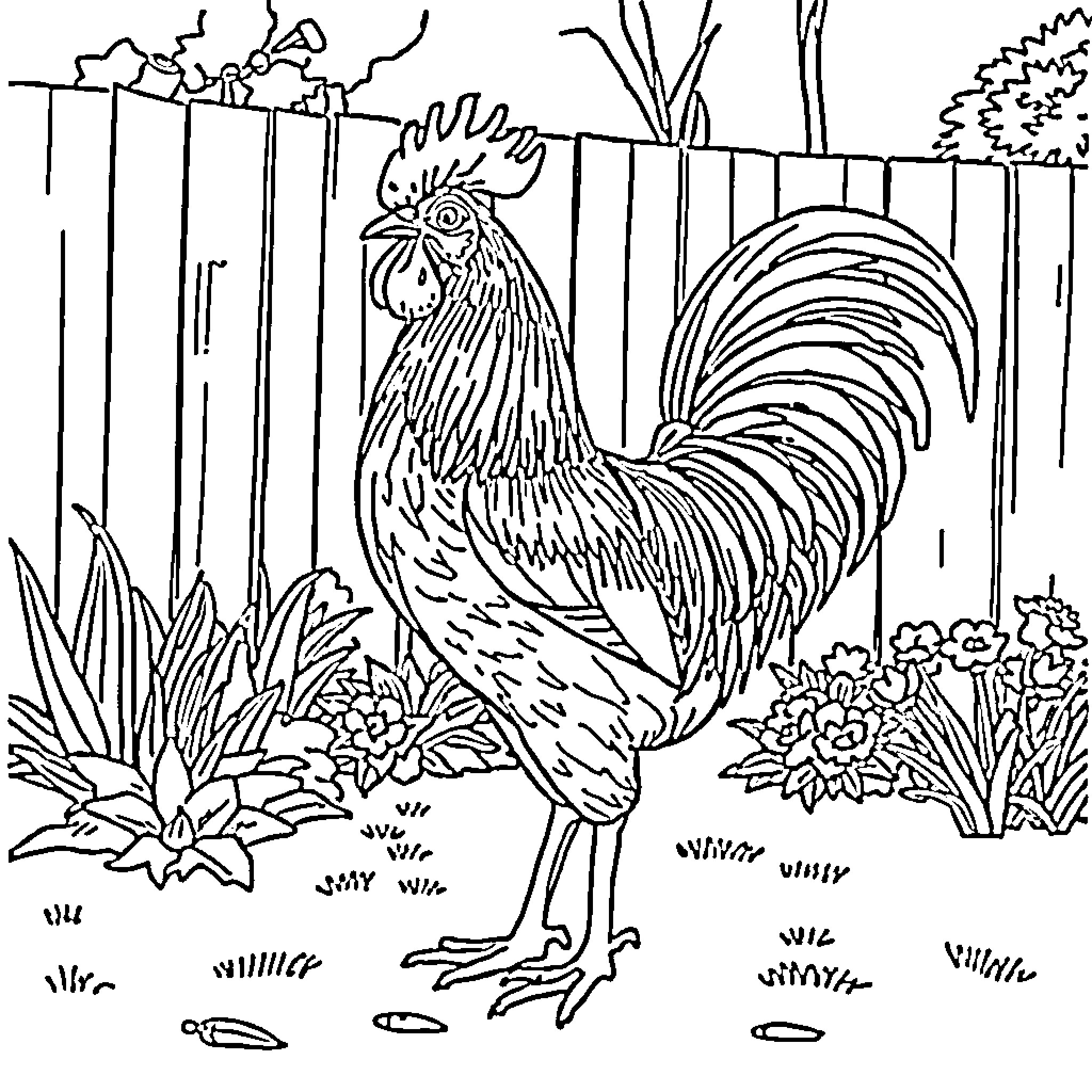 Rooster standing in a garden Coloring Page (free black-and-white line drawing printable PDF for all, from beginners to advanced learners, including children, teens, adults, and seniors)