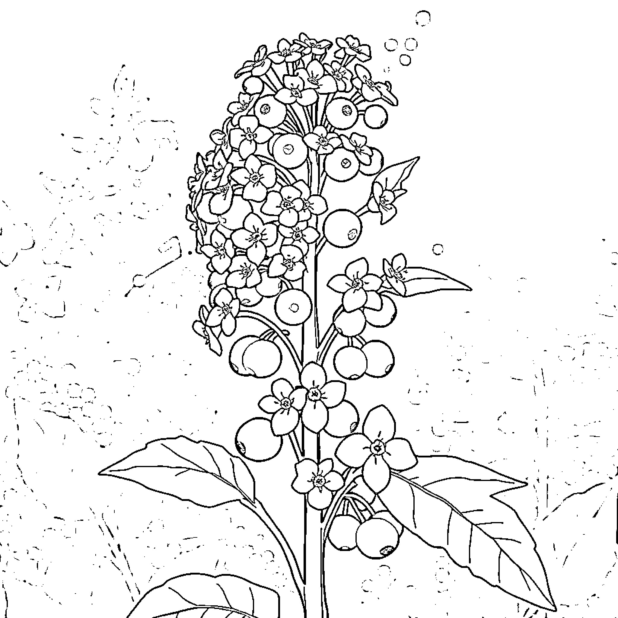 Elderberry Flower Bouquet with Whimsical Elements Coloring Page (free black-and-white line drawing printable PDF for all, from beginners to advanced learners, including children, teens, adults, and seniors)