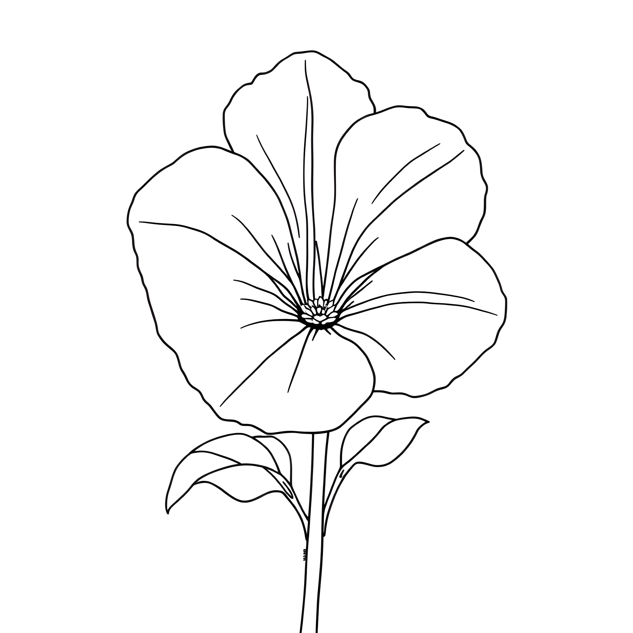 Petunia flower in simple line art Coloring Page (free black-and-white line drawing printable PDF for all, from beginners to advanced learners, including children, teens, adults, and seniors)