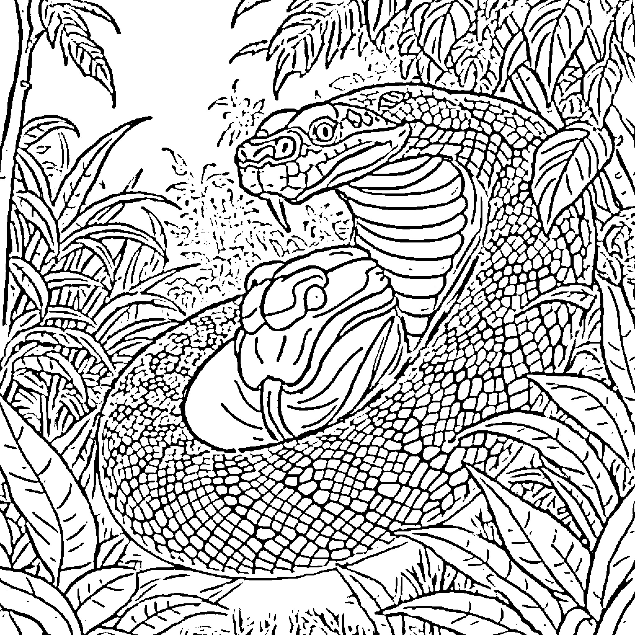 Snake in the Lush Jungle Foliage Coloring Page (free black-and-white line drawing printable PDF for all, from beginners to advanced learners, including children, teens, adults, and seniors)