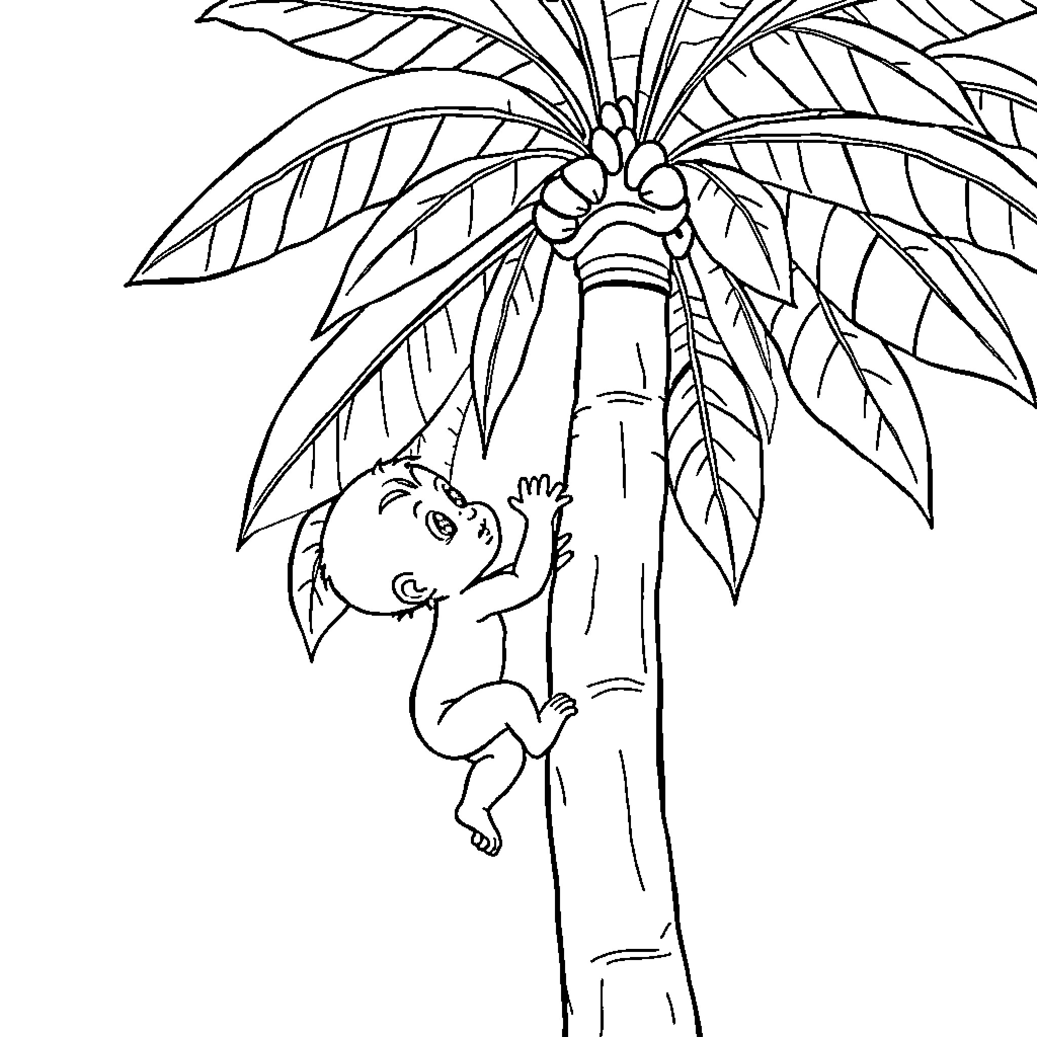 Baby playing on palm tree Coloring Page (free black-and-white line drawing printable PDF for all, from beginners to advanced learners, including children, teens, adults, and seniors)