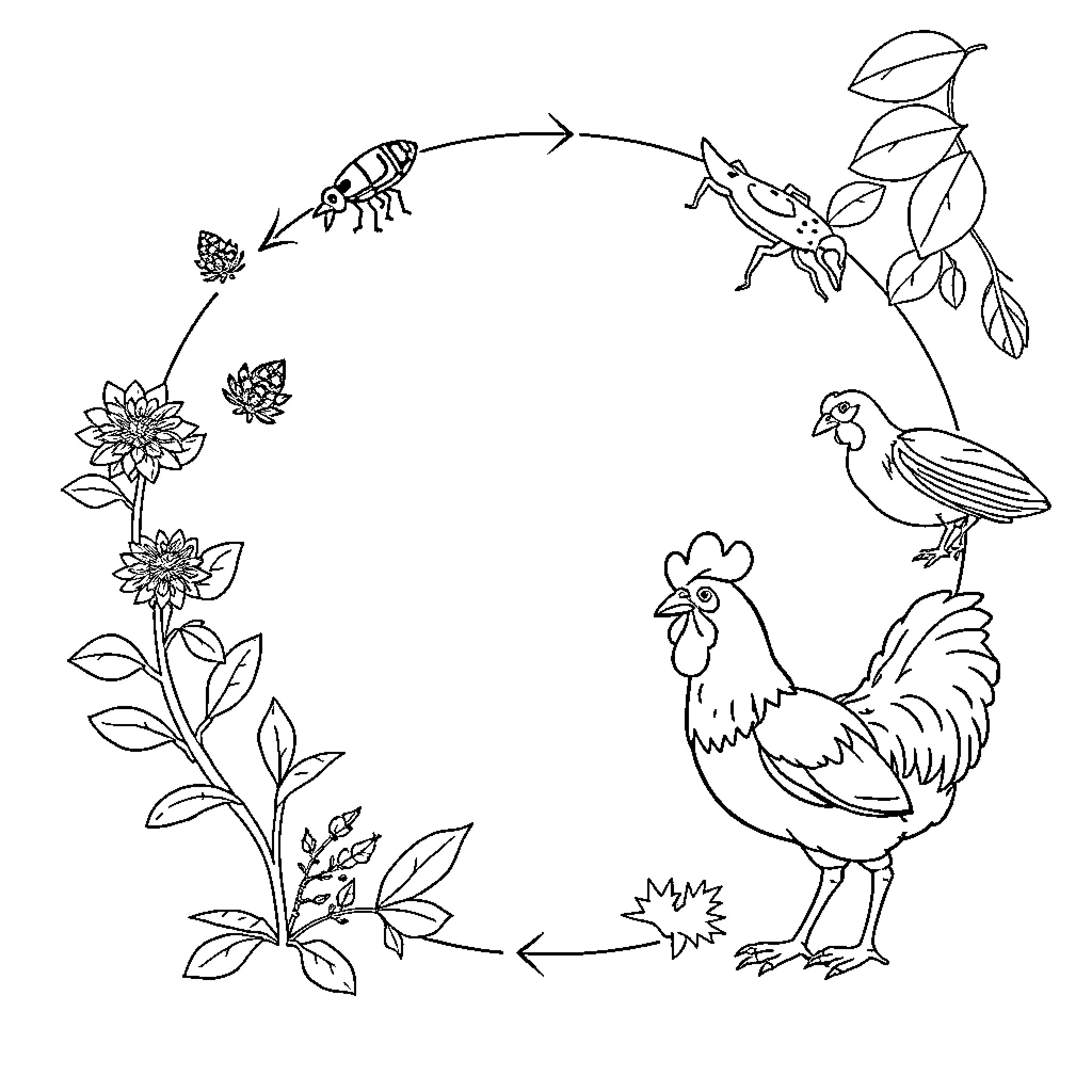Food Chain Depicting Floral and Avian Interactions Coloring Page (free black-and-white line drawing printable PDF for all, from beginners to advanced learners, including children, teens, adults, and seniors)