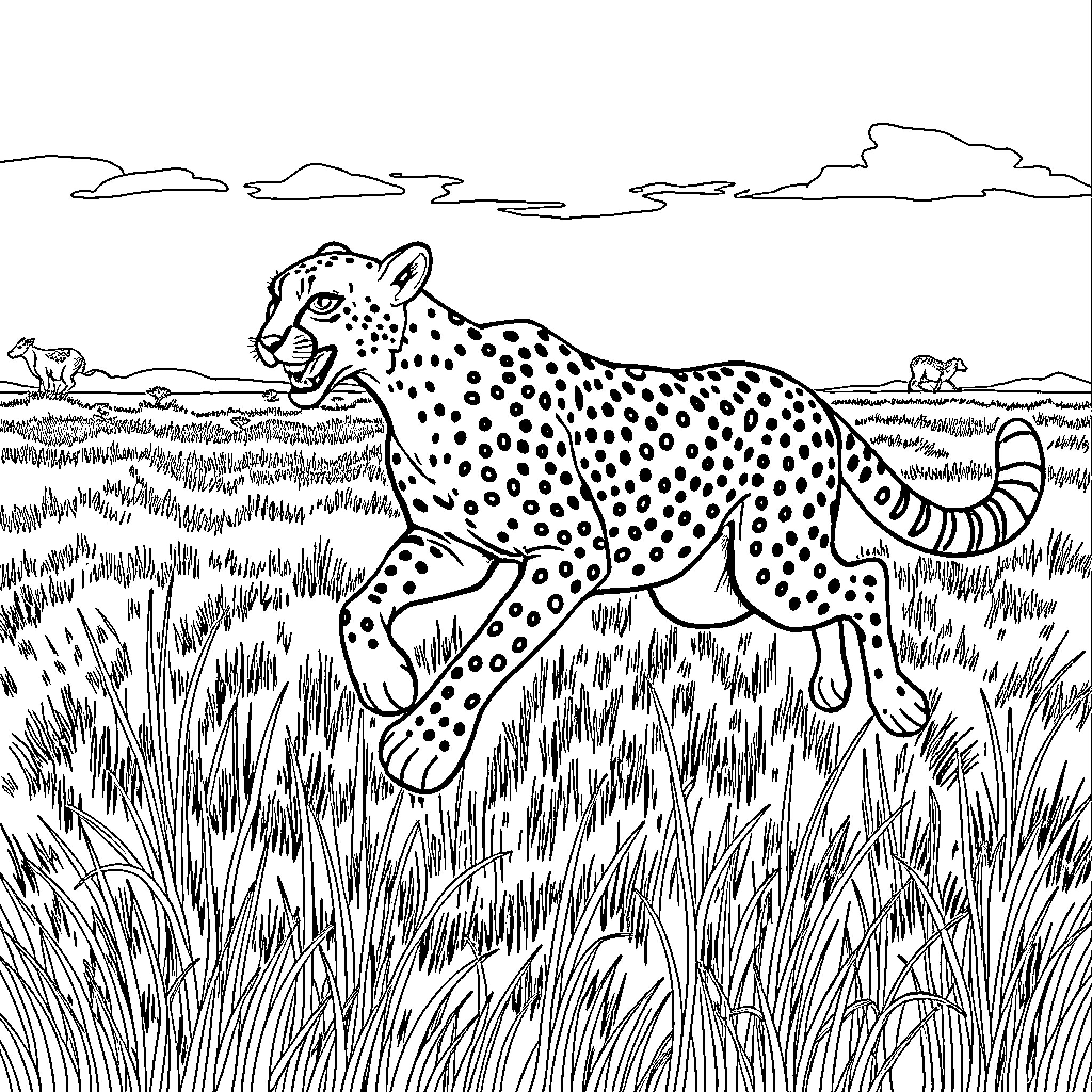 Cheetah on the prowl in the savanna Coloring Page (free black-and-white line drawing printable PDF for all, from beginners to advanced learners, including children, teens, adults, and seniors)