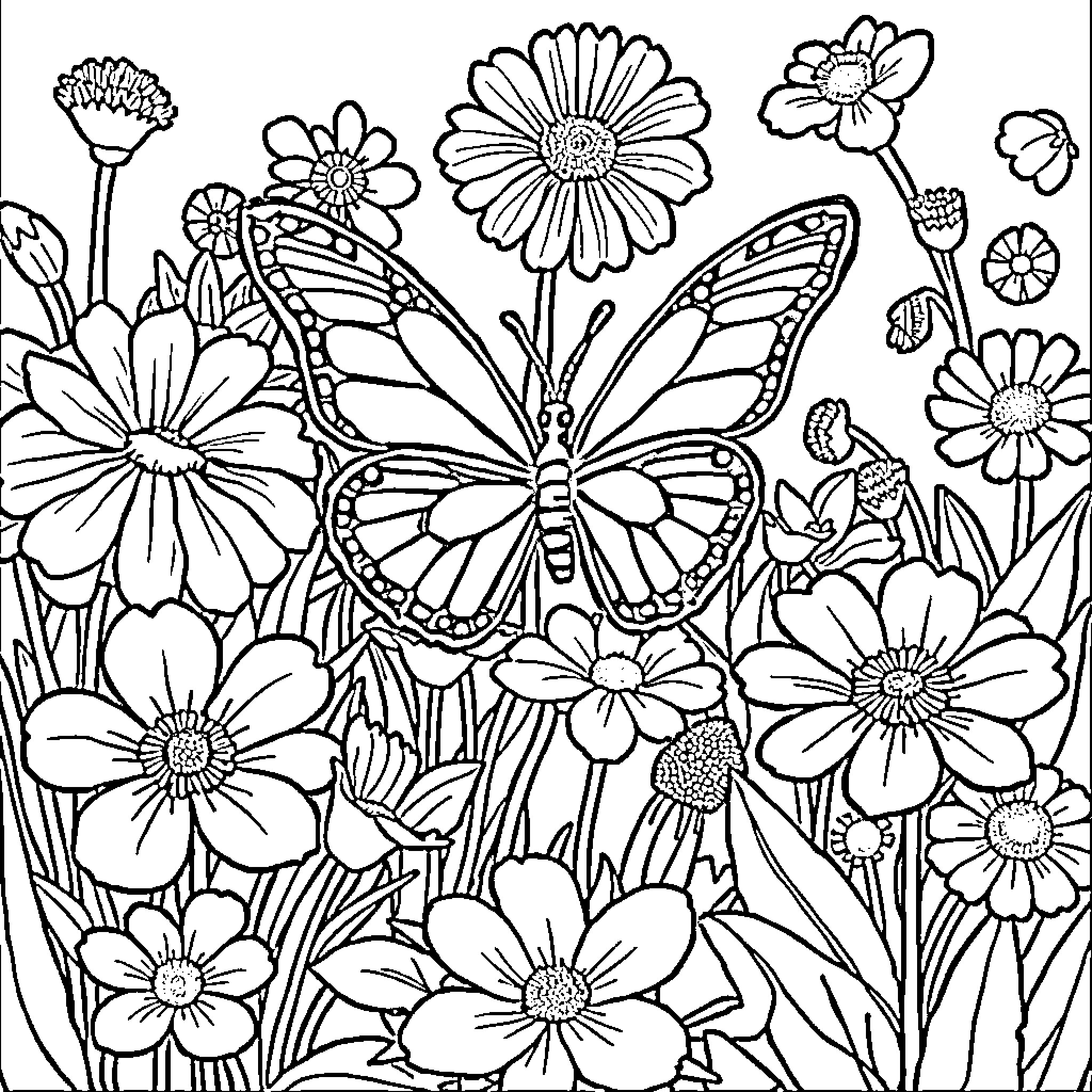 Butterfly amidst vibrant garden flowers Coloring Page (free black-and-white line drawing printable PDF for all, from beginners to advanced learners, including children, teens, adults, and seniors)