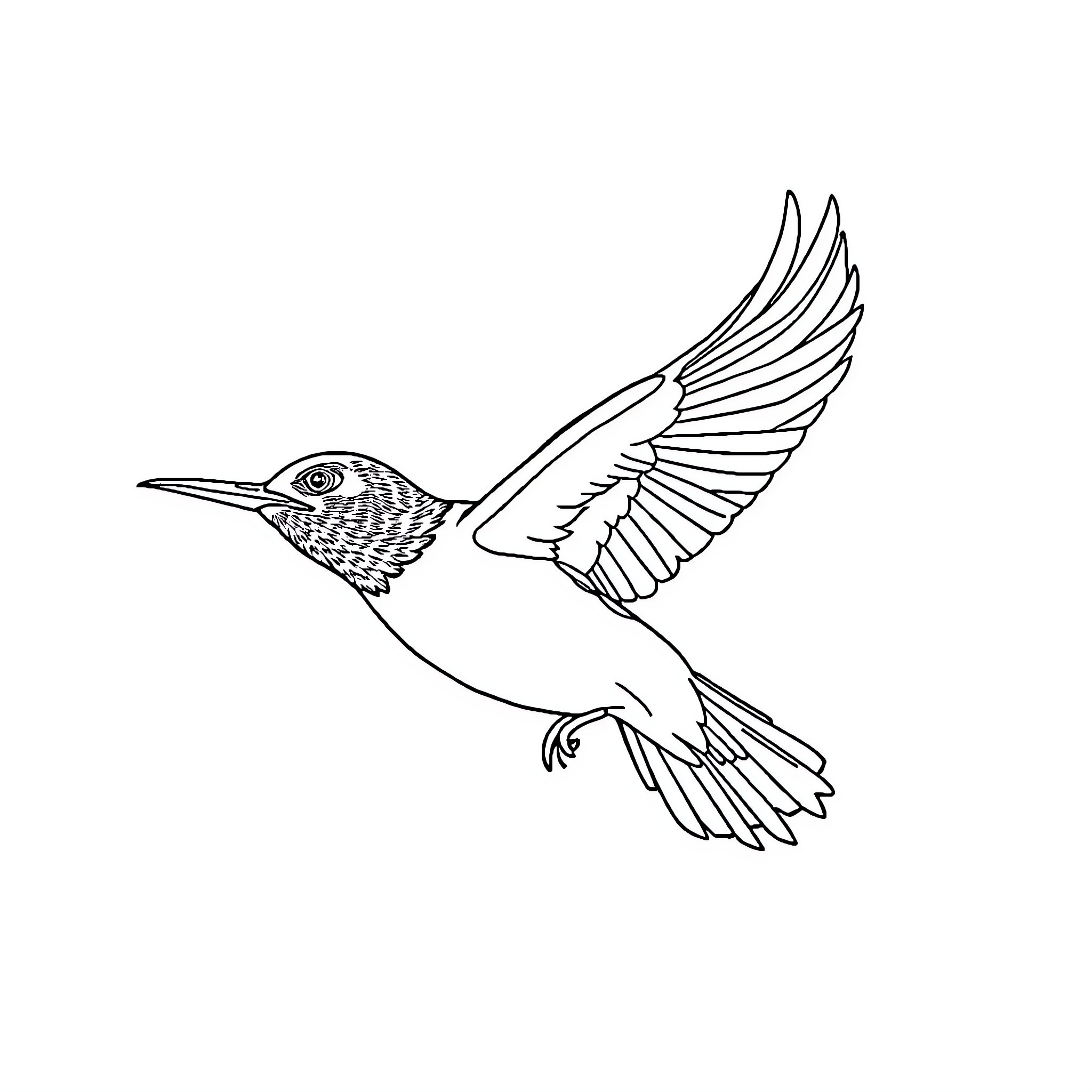 Saijanjin hummingbird in flight Coloring Page (free black-and-white line drawing printable PDF for all, from beginners to advanced learners, including children, teens, adults, and seniors)