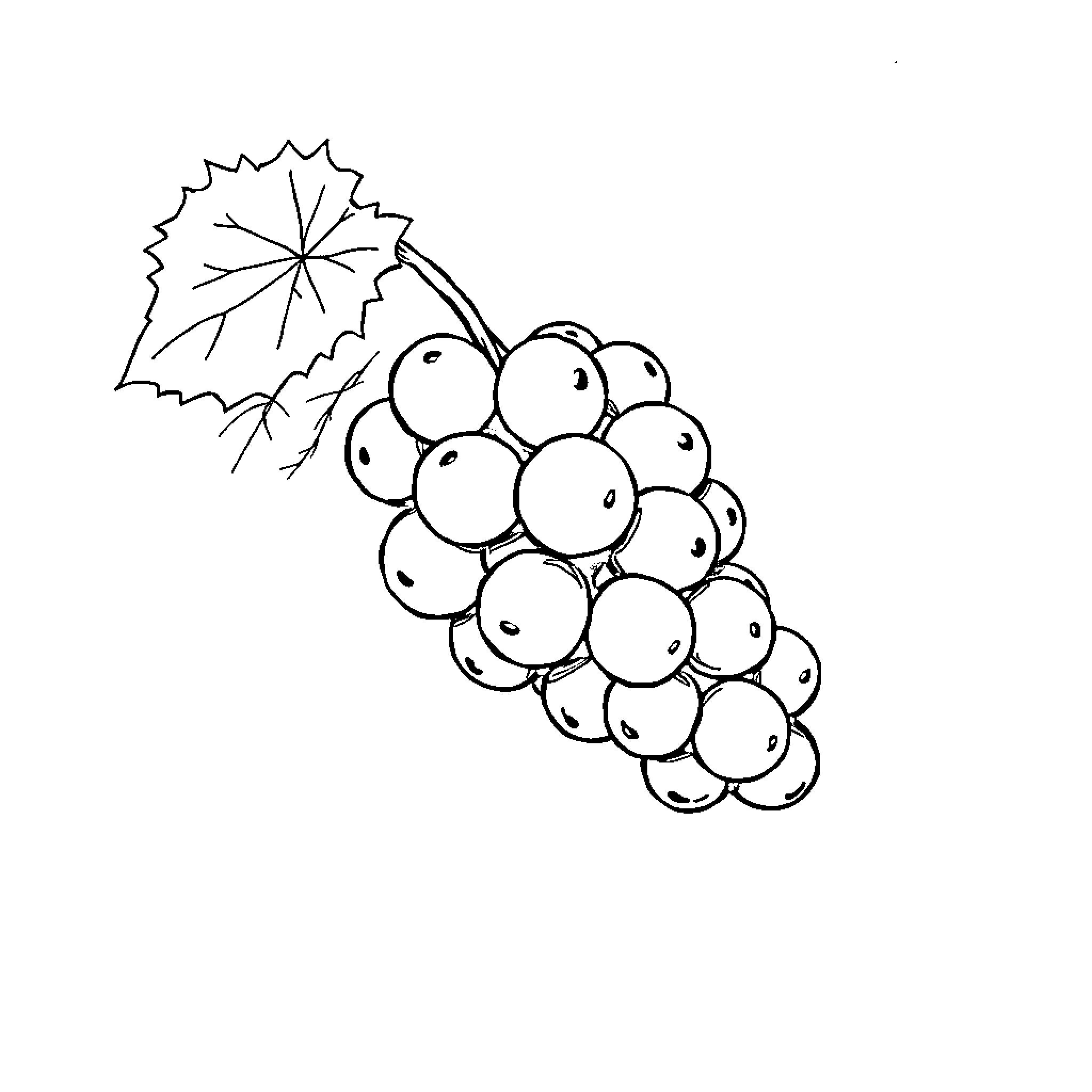 Grape cluster with leaf Coloring Page (free black-and-white line drawing printable PDF for all, from beginners to advanced learners, including children, teens, adults, and seniors)