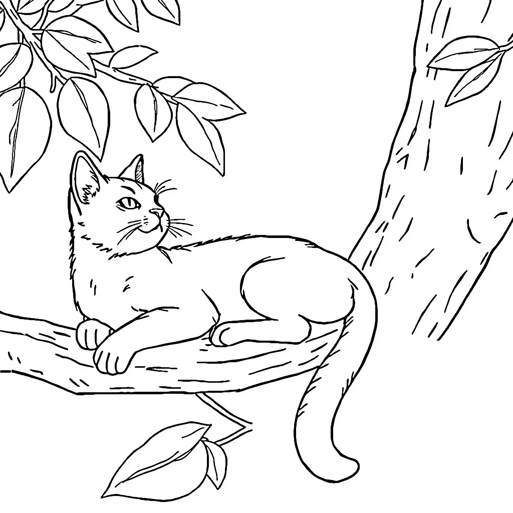 Cat relaxing in a leaf-filled tree Coloring Page (free black-and-white line drawing printable PDF for all, from beginners to advanced learners, including children, teens, adults, and seniors)