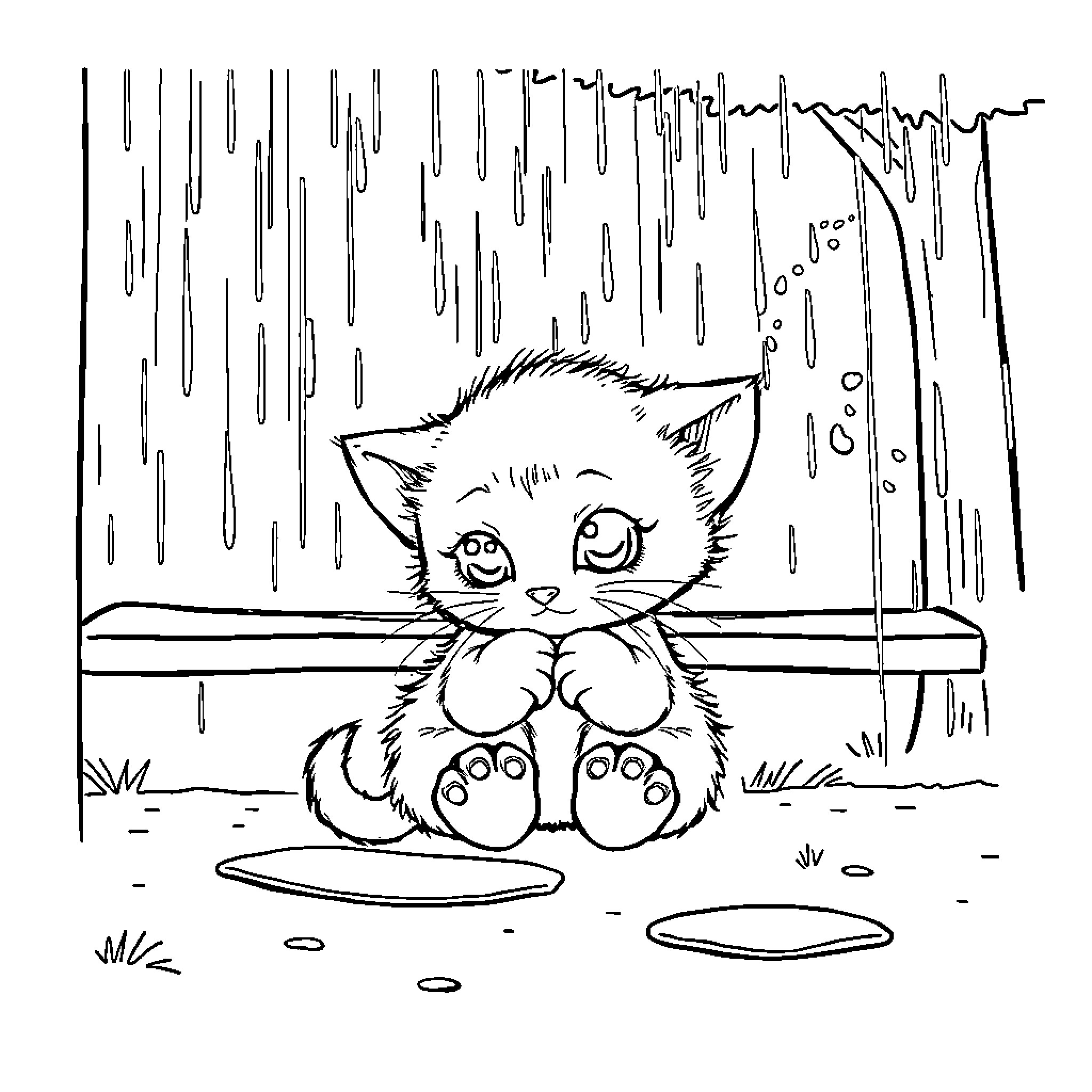 Kitten taking shelter from the rain Coloring Page (free black-and-white line drawing printable PDF for all, from beginners to advanced learners, including children, teens, adults, and seniors)