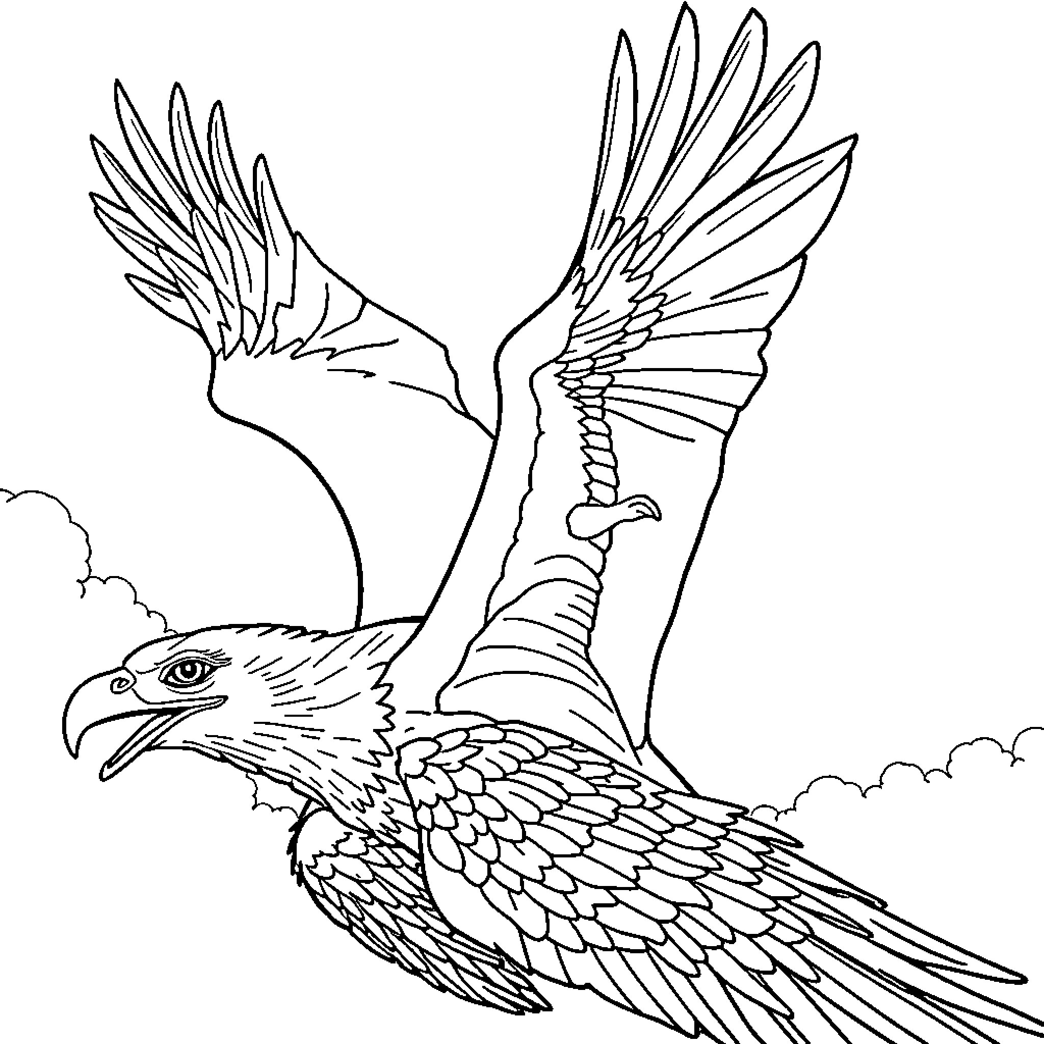 Dinosaur soaring through the sky Coloring Page (free black-and-white line drawing printable PDF for all, from beginners to advanced learners, including children, teens, adults, and seniors)