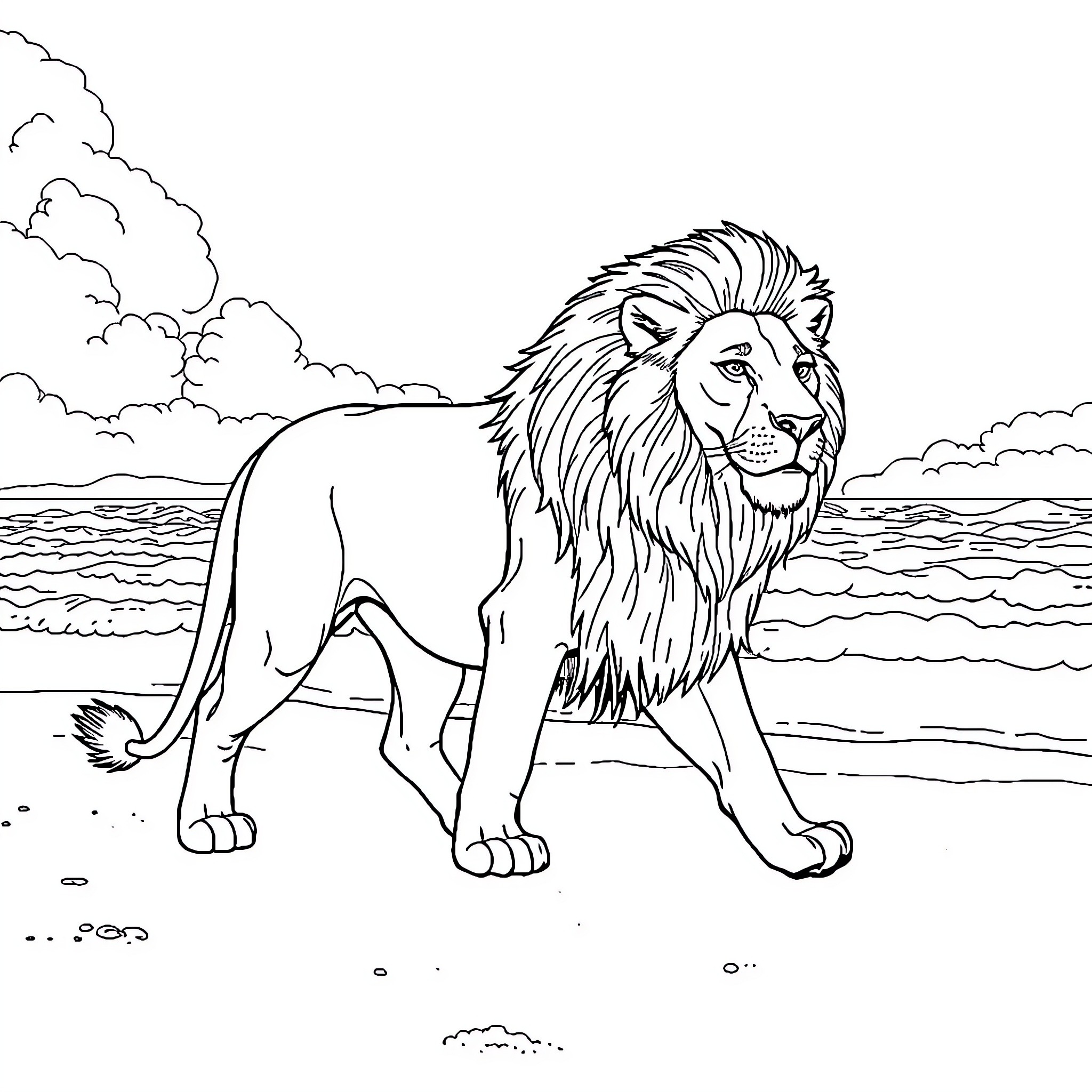 Lion standing majestically on the beach Coloring Page (free black-and-white line drawing printable PDF for all, from beginners to advanced learners, including children, teens, adults, and seniors)