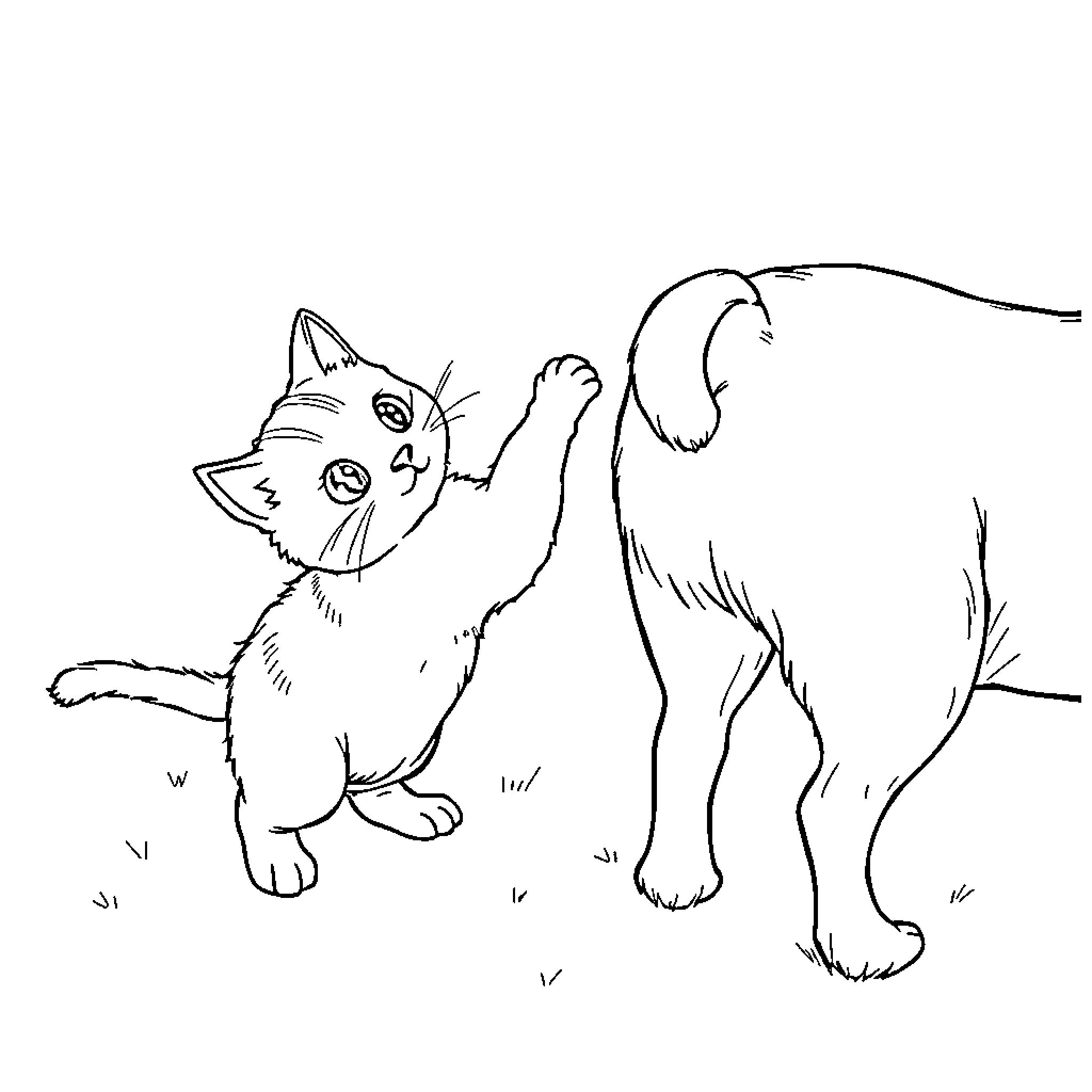 Cat and Dog Exploring Together Coloring Page (free black-and-white line drawing printable PDF for all, from beginners to advanced learners, including children, teens, adults, and seniors)