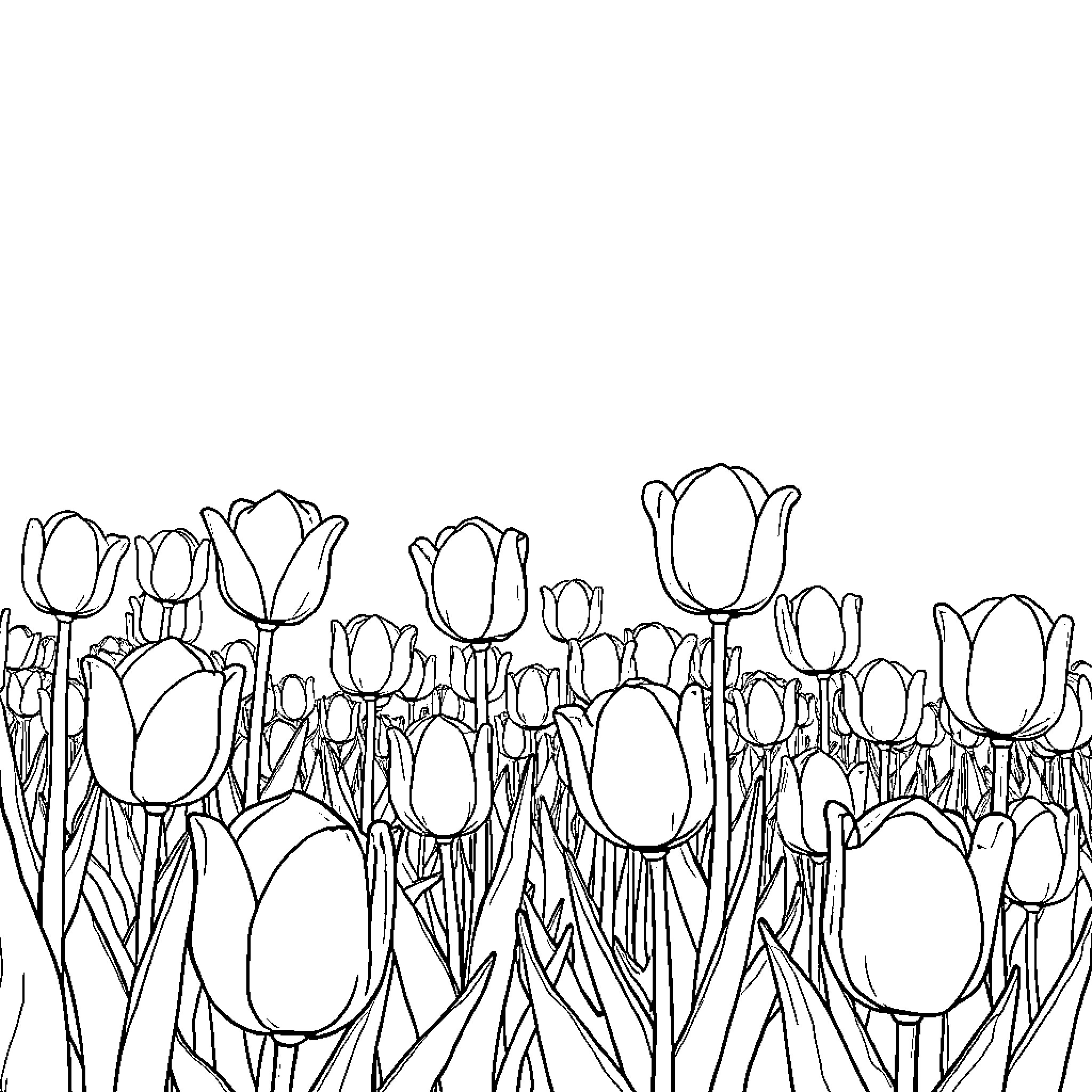 Tulips blooming in a vibrant garden Coloring Page (free black-and-white line drawing printable PDF for all, from beginners to advanced learners, including children, teens, adults, and seniors)