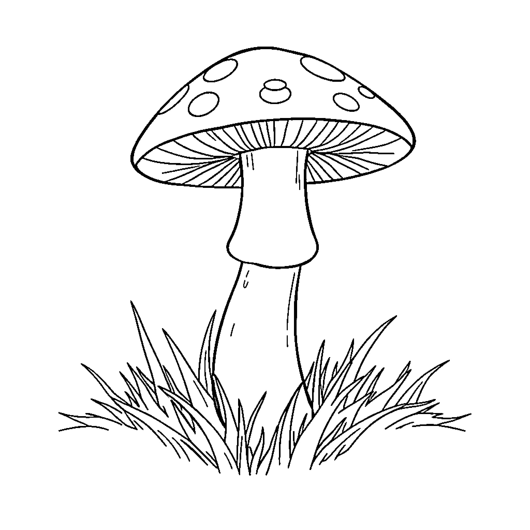 Mushroom in the Grassy Meadow Coloring Page (free black-and-white line drawing printable PDF for all, from beginners to advanced learners, including children, teens, adults, and seniors)