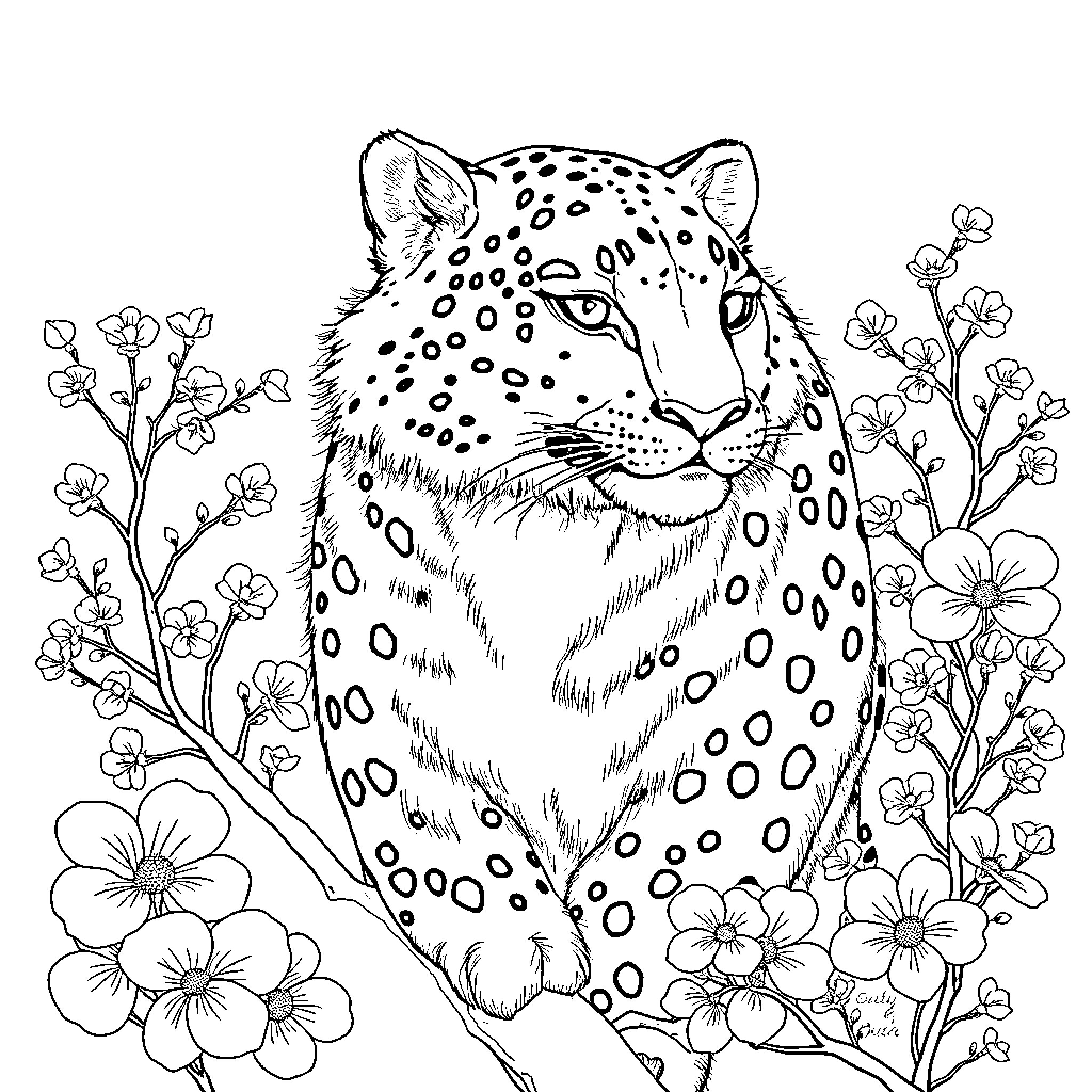 Snow Leopard amidst colorful blooms Coloring Page (free black-and-white line drawing printable PDF for all, from beginners to advanced learners, including children, teens, adults, and seniors)