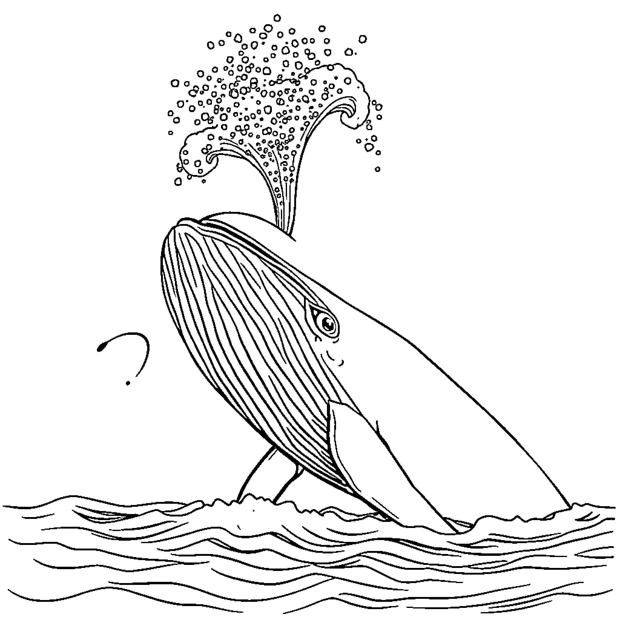 Whale blowing water spout in the ocean Coloring Page (free black-and-white line drawing printable PDF for all, from beginners to advanced learners, including children, teens, adults, and seniors)