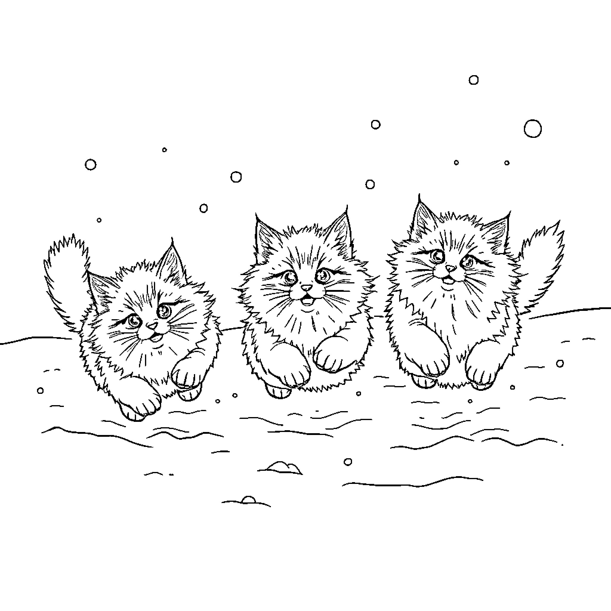Ragdoll Cats frolicking in the snow Coloring Page (free black-and-white line drawing printable PDF for all, from beginners to advanced learners, including children, teens, adults, and seniors)