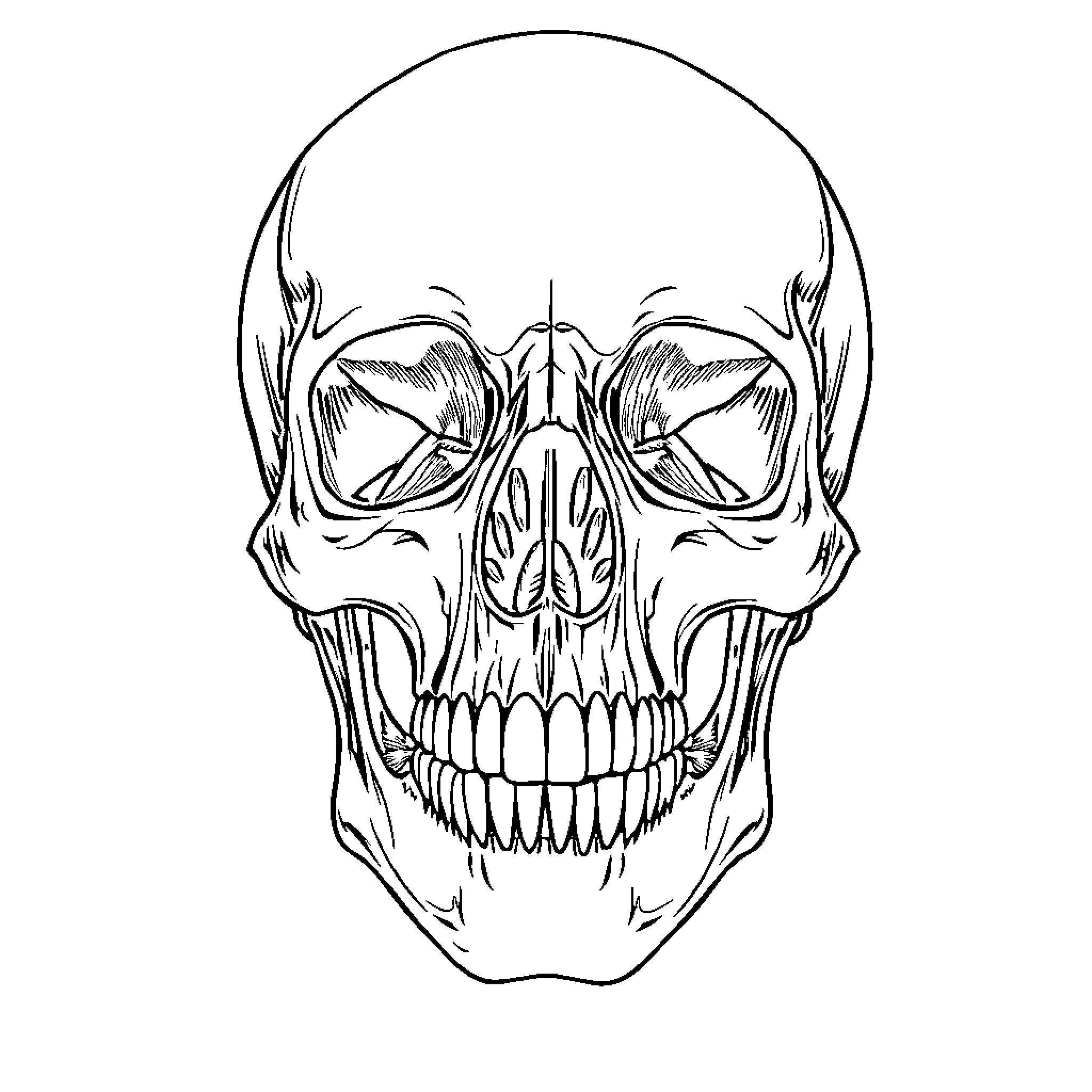 Skull with Menacing Expression Coloring Page (free black-and-white line drawing printable PDF for all, from beginners to advanced learners, including children, teens, adults, and seniors)