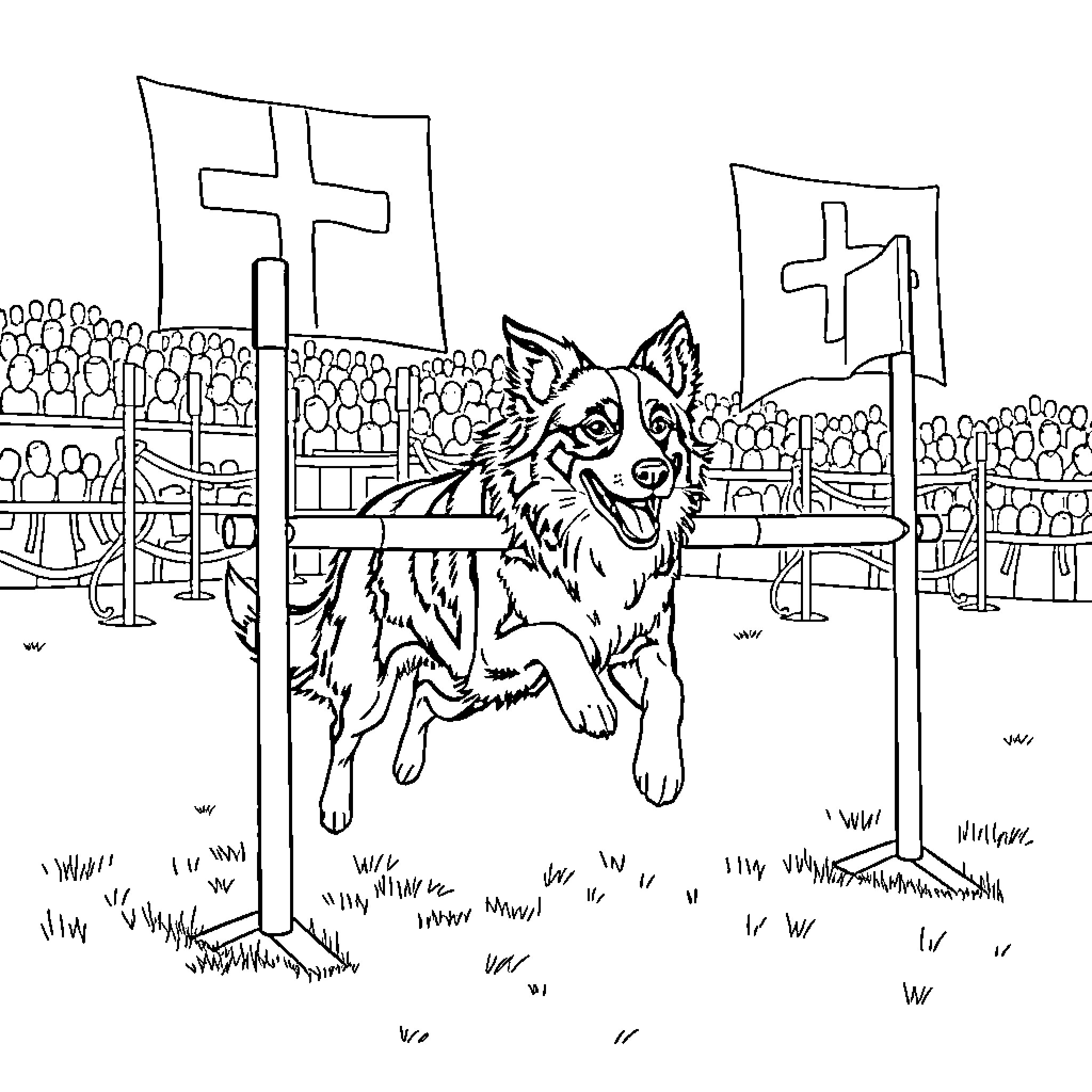Border Collie playing in a church courtyard Coloring Page (free black-and-white line drawing printable PDF for all, from beginners to advanced learners, including children, teens, adults, and seniors)