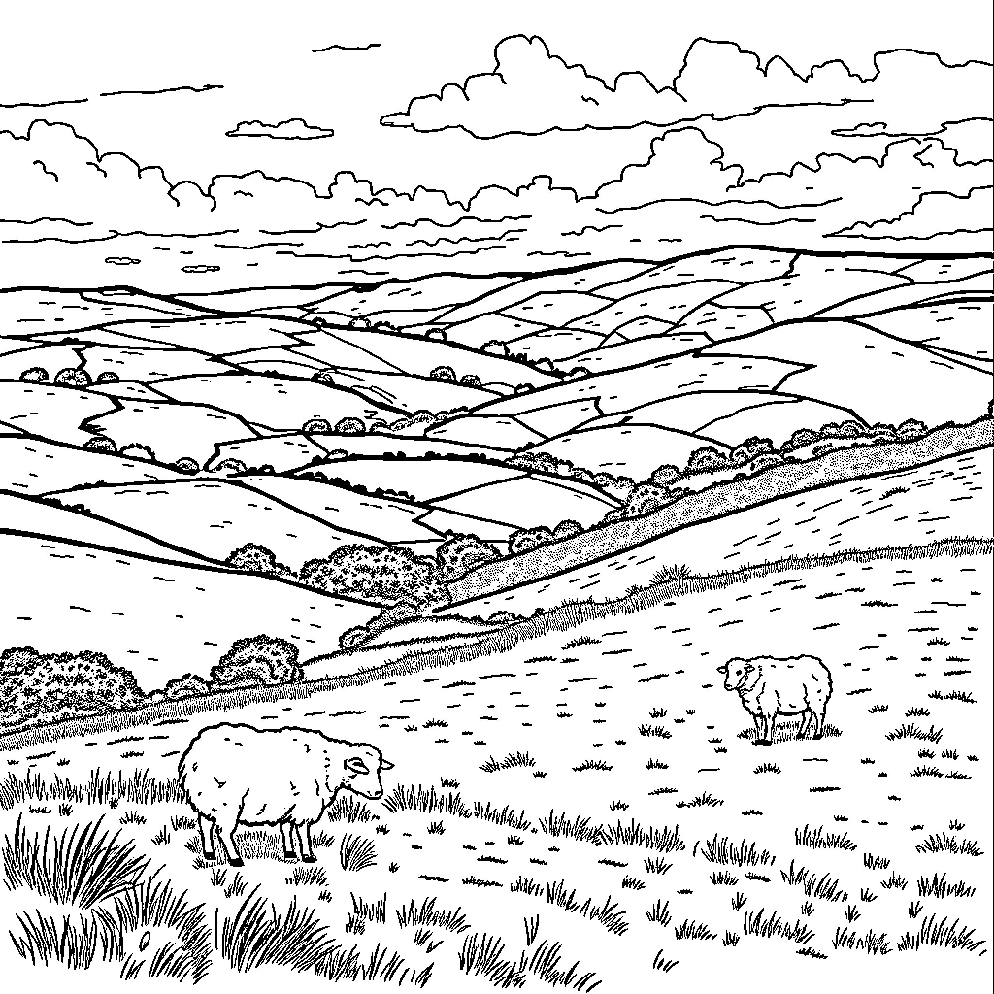Countryside scene with grazing sheep and rolling hills Coloring Page (free black-and-white line drawing printable PDF for all, from beginners to advanced learners, including children, teens, adults, and seniors)