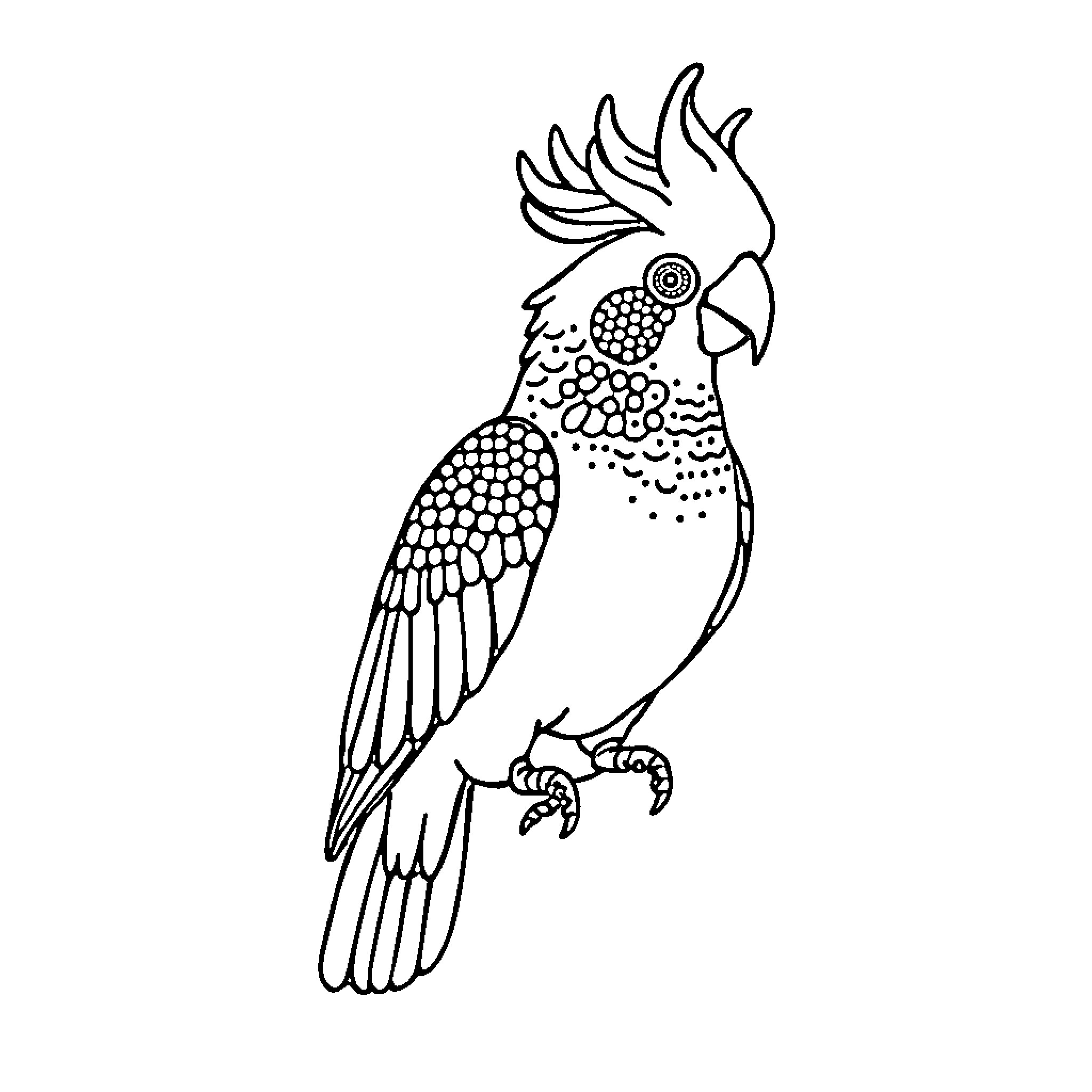 Cockatoo perching in an elegant pose Coloring Page (free black-and-white line drawing printable PDF for all, from beginners to advanced learners, including children, teens, adults, and seniors)