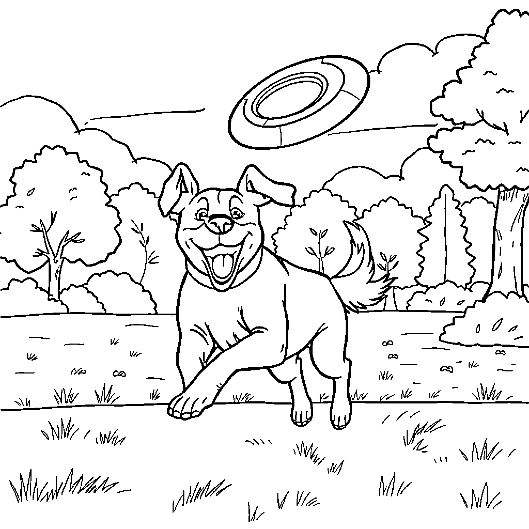 Dog happily playing with a flying disc in the park Coloring Page (free black-and-white line drawing printable PDF for all, from beginners to advanced learners, including children, teens, adults, and seniors)