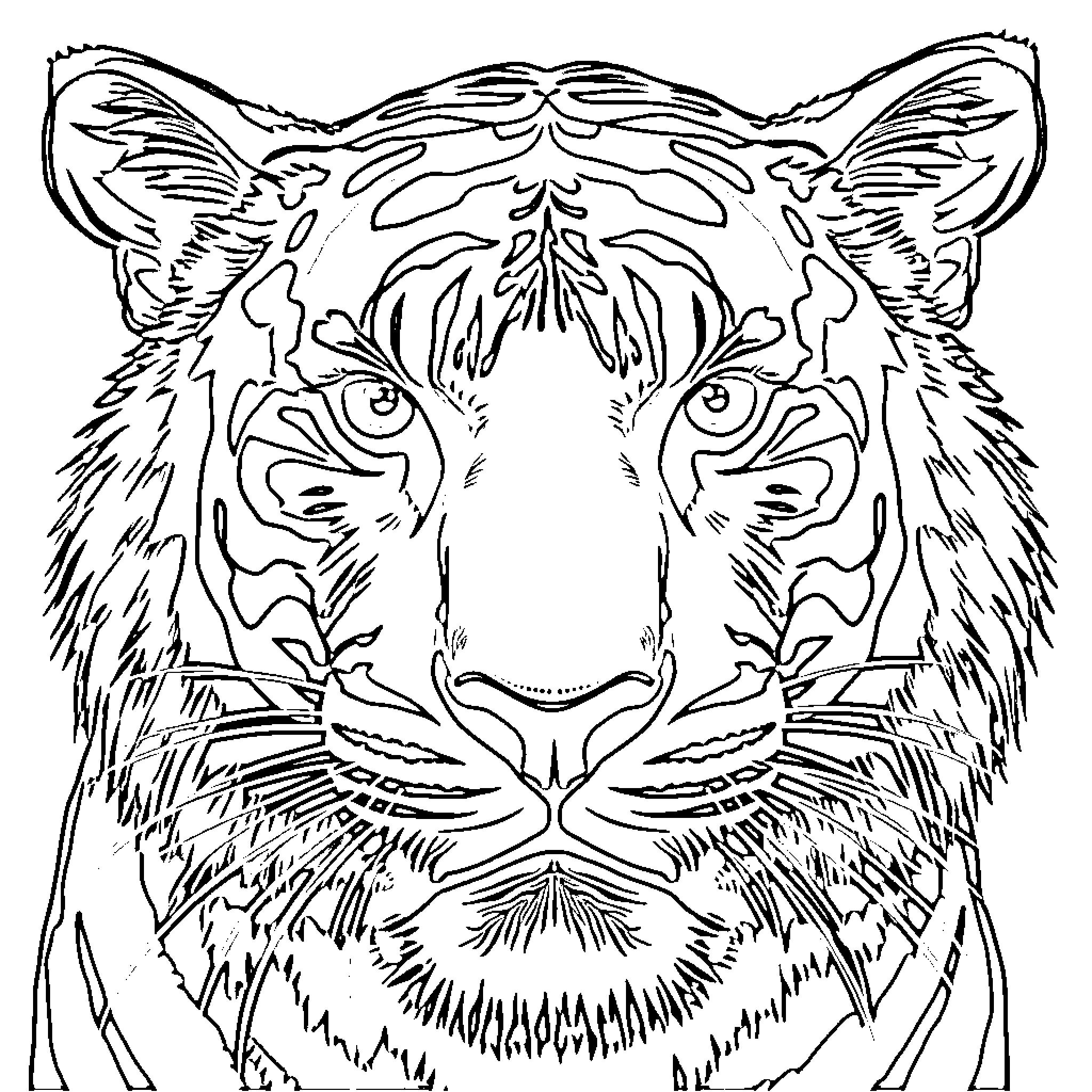 Tiger's intense gaze Coloring Page (free black-and-white line drawing printable PDF for all, from beginners to advanced learners, including children, teens, adults, and seniors)