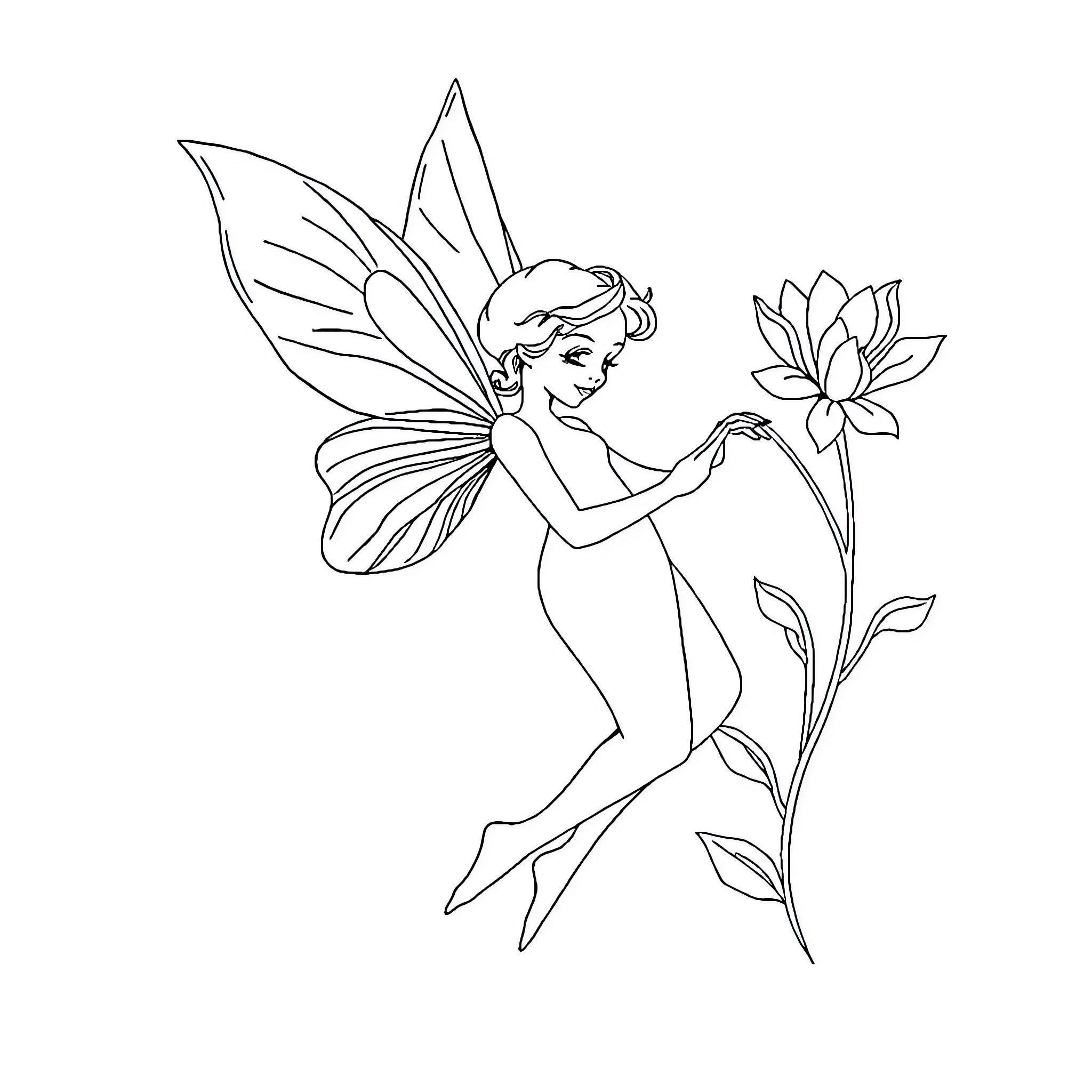 Fairy admiring a beautiful flower Coloring Page (free black-and-white line drawing printable PDF for all, from beginners to advanced learners, including children, teens, adults, and seniors)