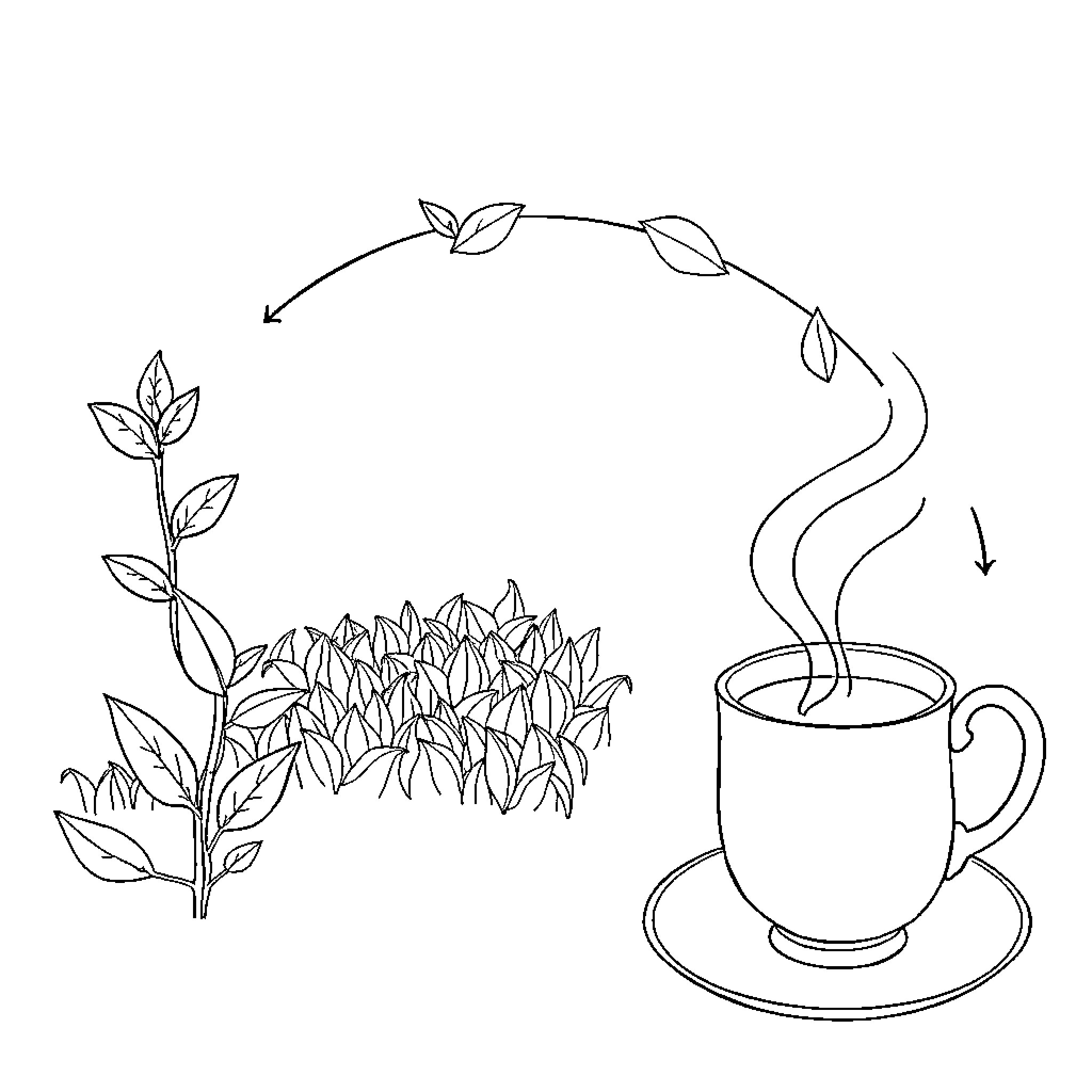 Tea Time in the Garden Coloring Page (free black-and-white line drawing printable PDF for all, from beginners to advanced learners, including children, teens, adults, and seniors)