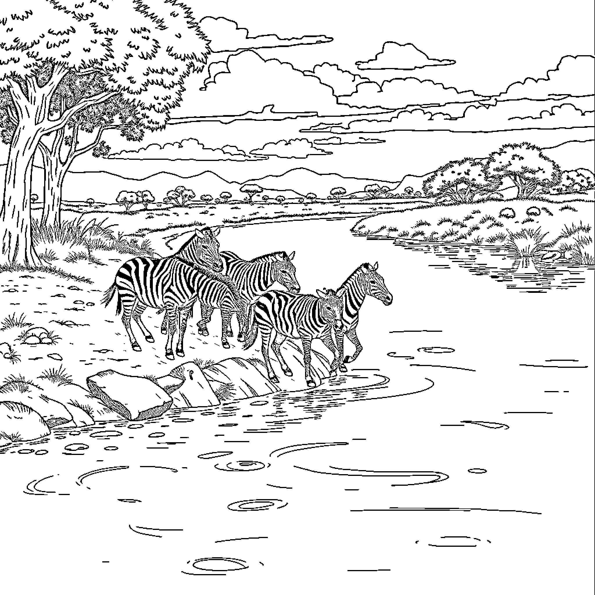 Animal herd crossing river in safari landscape Coloring Page (free black-and-white line drawing printable PDF for all, from beginners to advanced learners, including children, teens, adults, and seniors)