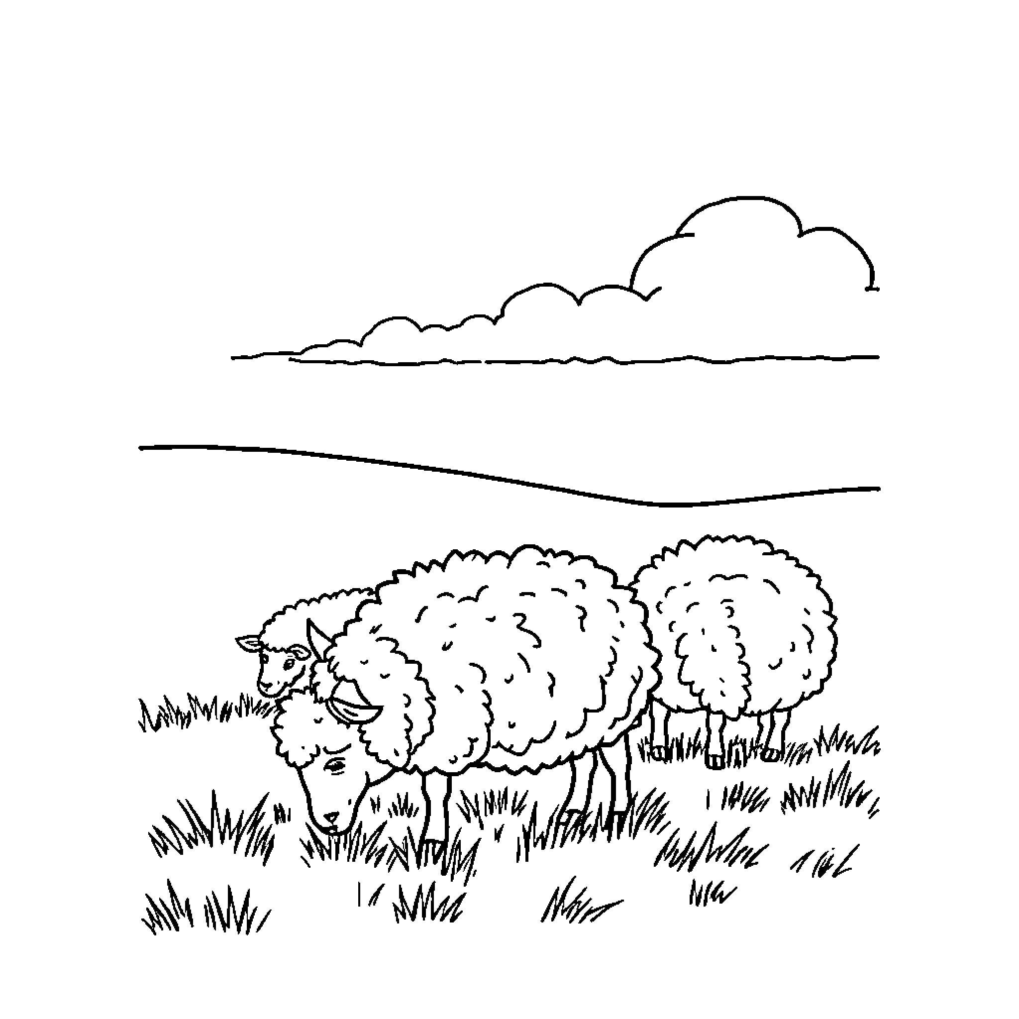 Sheep grazing peacefully in the meadow Coloring Page (free black-and-white line drawing printable PDF for all, from beginners to advanced learners, including children, teens, adults, and seniors)