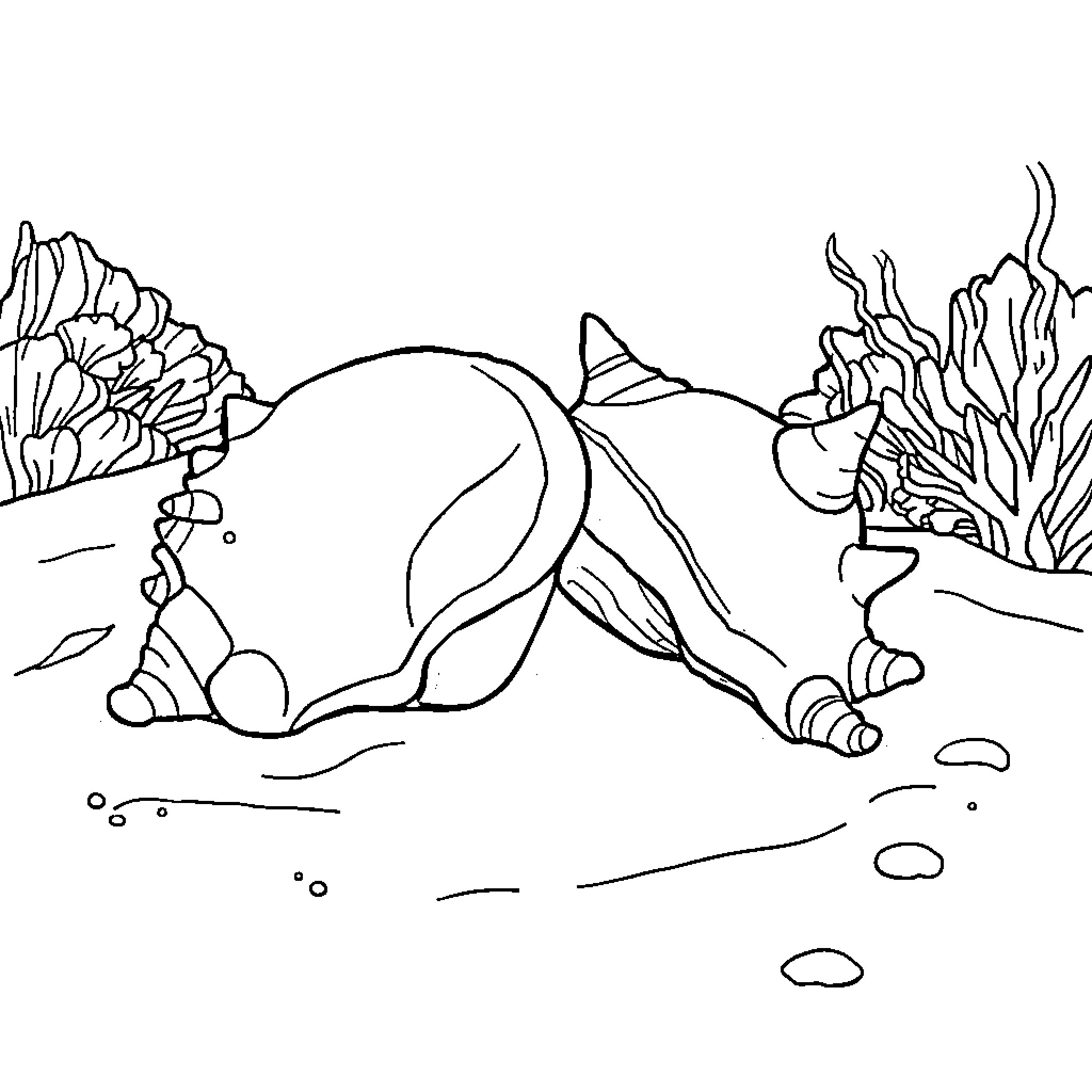 Queen Conch resting in the underwater scenery Coloring Page (free black-and-white line drawing printable PDF for all, from beginners to advanced learners, including children, teens, adults, and seniors)