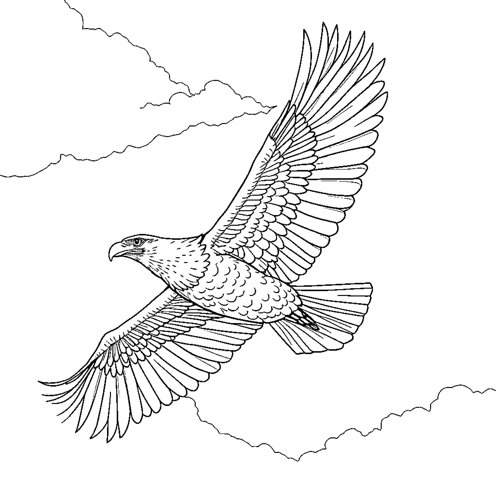 Eagle soaring gracefully through the clouds Coloring Page (free black-and-white line drawing printable PDF for all, from beginners to advanced learners, including children, teens, adults, and seniors)