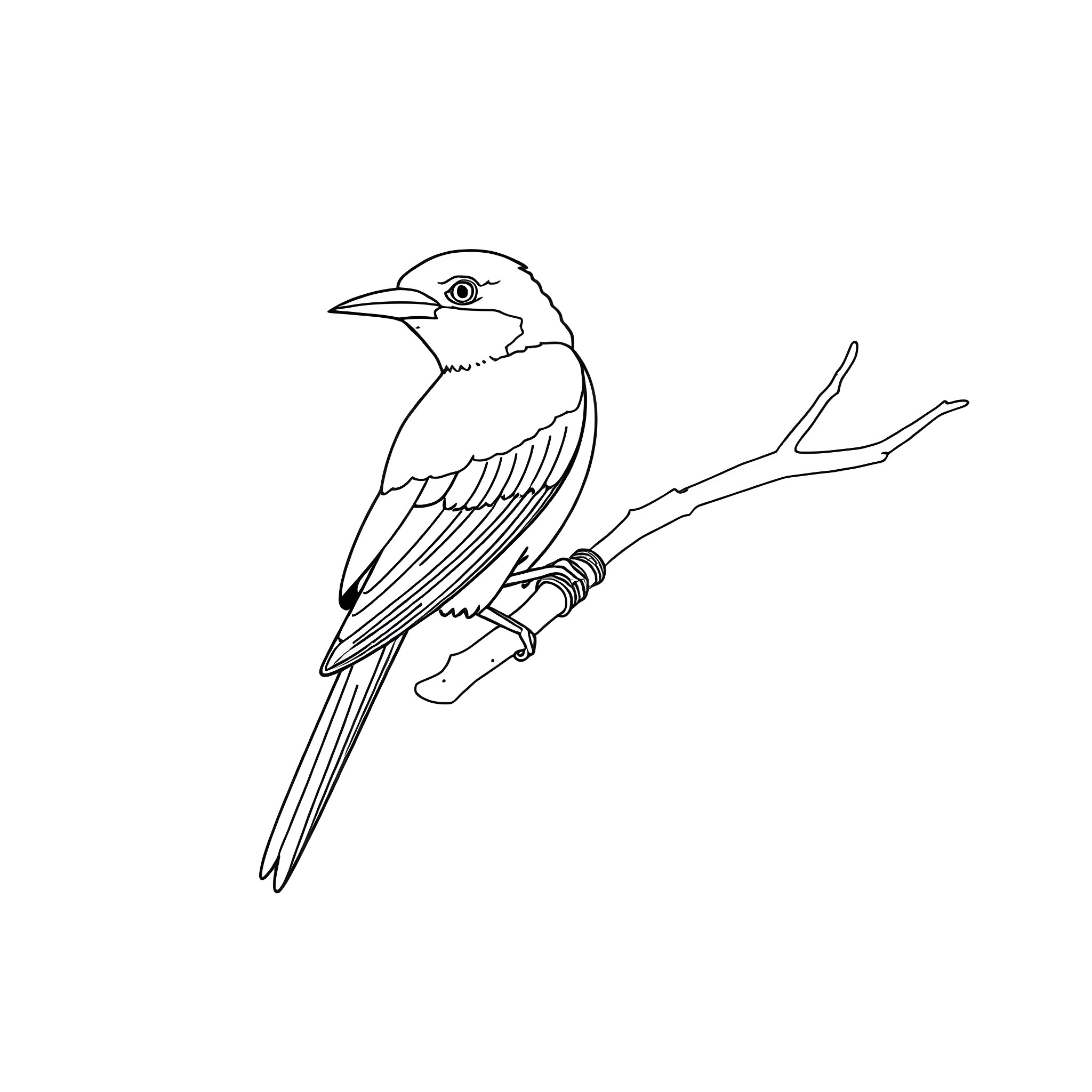 Calyptomena bird perching on a branch Coloring Page (free black-and-white line drawing printable PDF for all, from beginners to advanced learners, including children, teens, adults, and seniors)