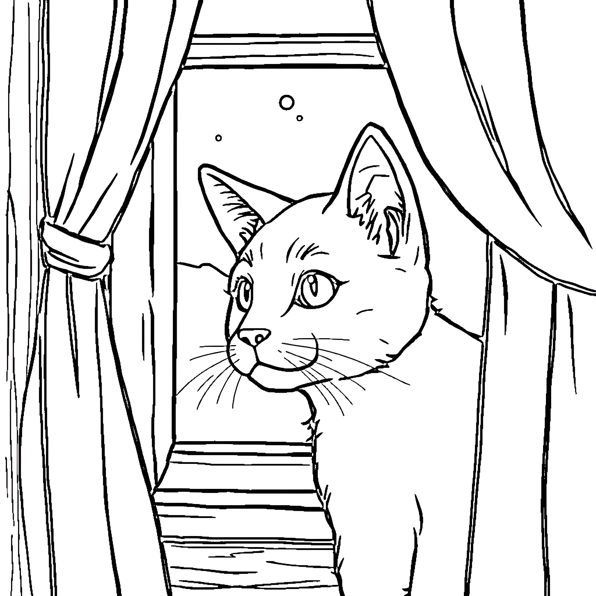 Puro cat peeking through the curtains Coloring Page (free black-and-white line drawing printable PDF for all, from beginners to advanced learners, including children, teens, adults, and seniors)