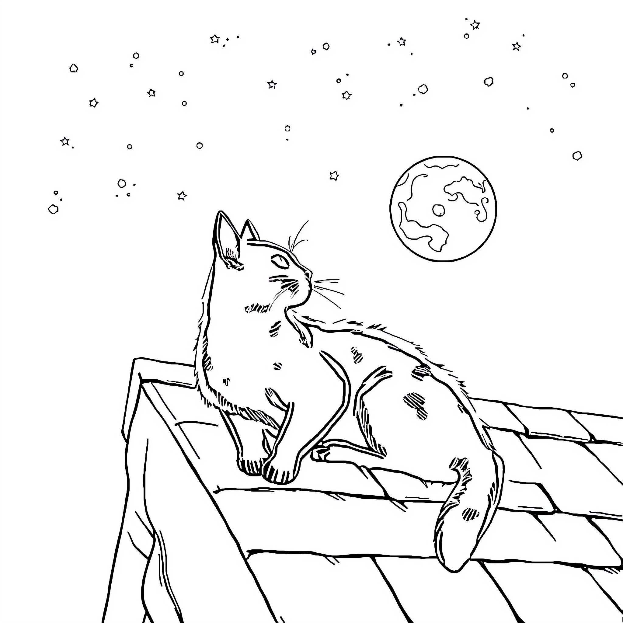 Cat stargazing on rooftop Coloring Page (free black-and-white line drawing printable PDF for all, from beginners to advanced learners, including children, teens, adults, and seniors)