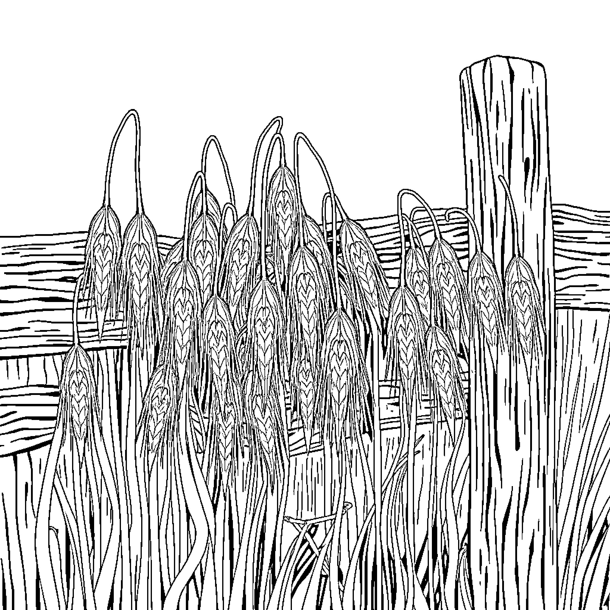 Wheat field with wooden posts and abstract foliage Coloring Page (free black-and-white line drawing printable PDF for all, from beginners to advanced learners, including children, teens, adults, and seniors)