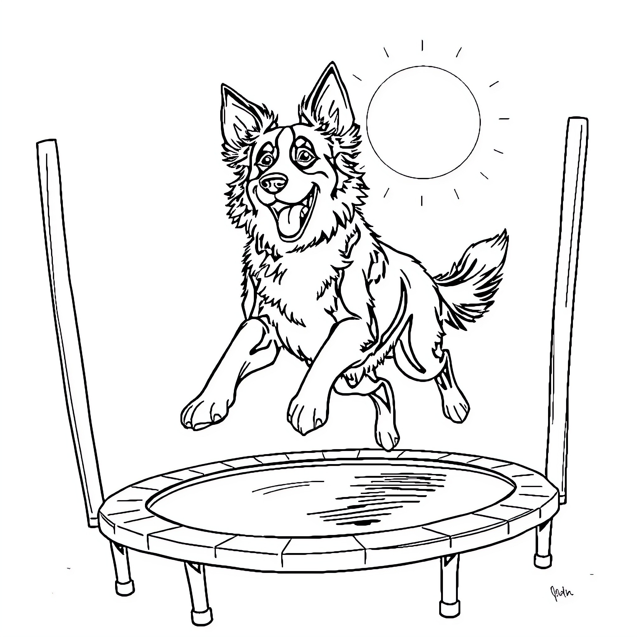 Border Collie jumping happily on trampoline Coloring Page (free black-and-white line drawing printable PDF for all, from beginners to advanced learners, including children, teens, adults, and seniors)