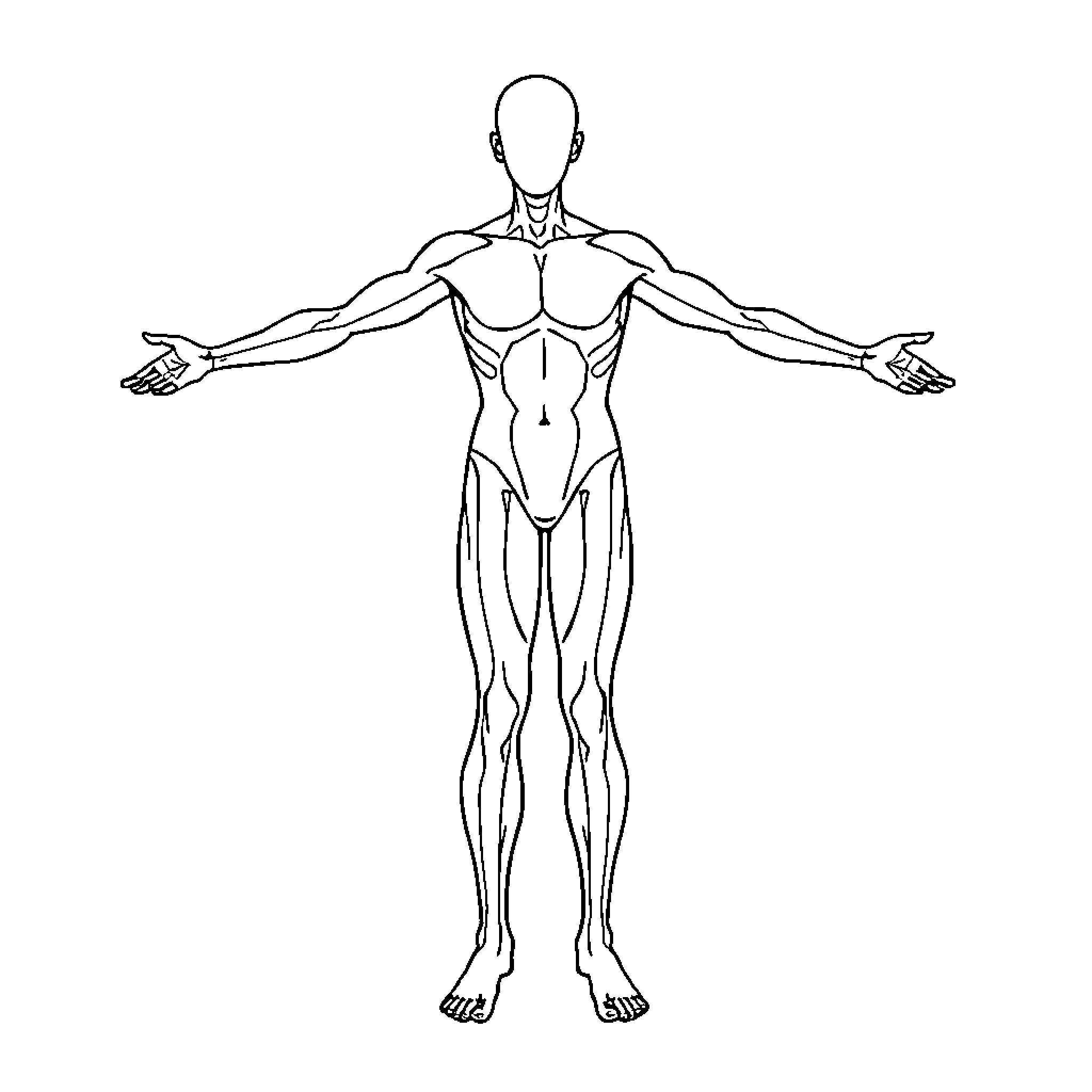 Body in Anatomical Diagram Form Coloring Page (free black-and-white line drawing printable PDF for all, from beginners to advanced learners, including children, teens, adults, and seniors)