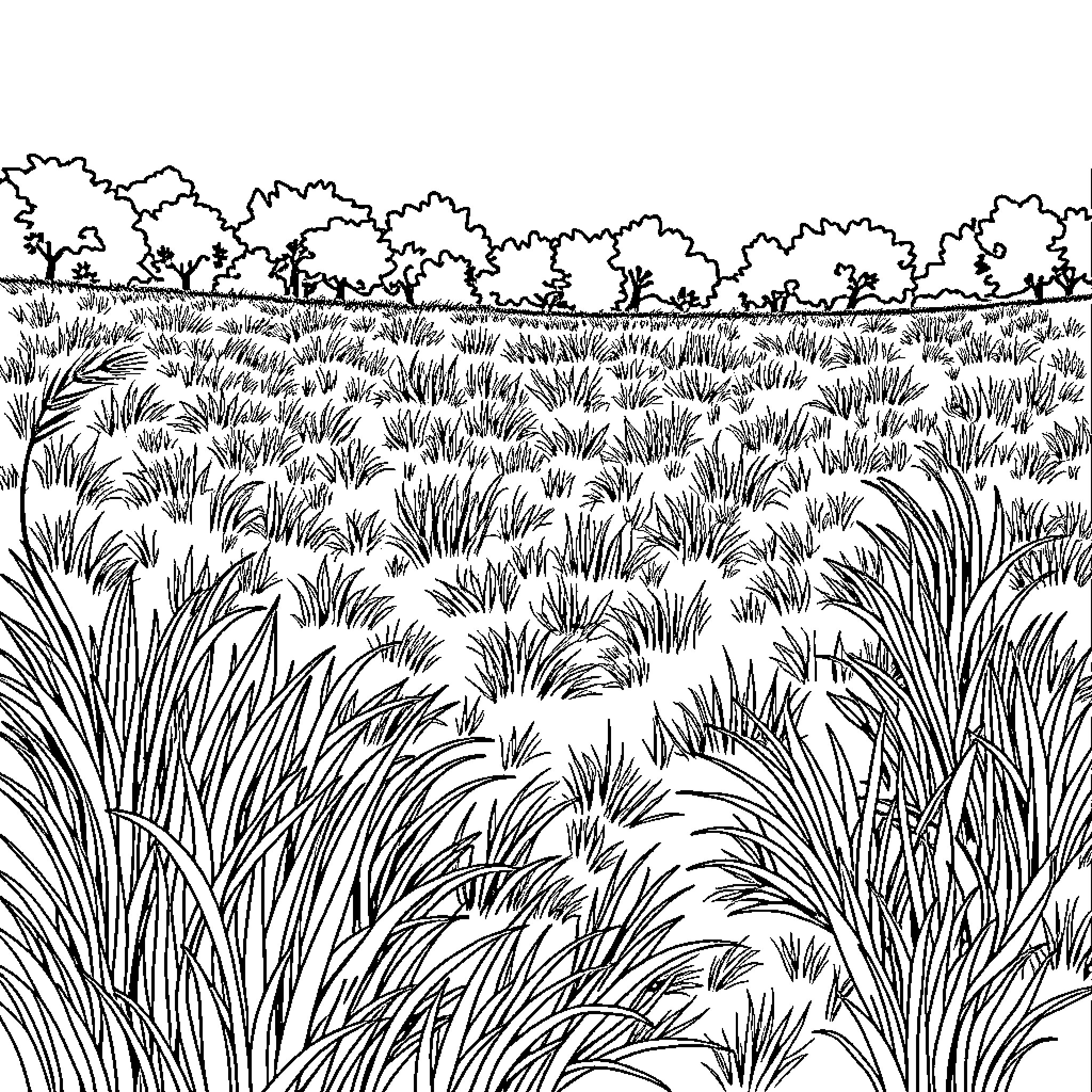 Football Field in Nature's Embrace Coloring Page (free black-and-white line drawing printable PDF for all, from beginners to advanced learners, including children, teens, adults, and seniors)