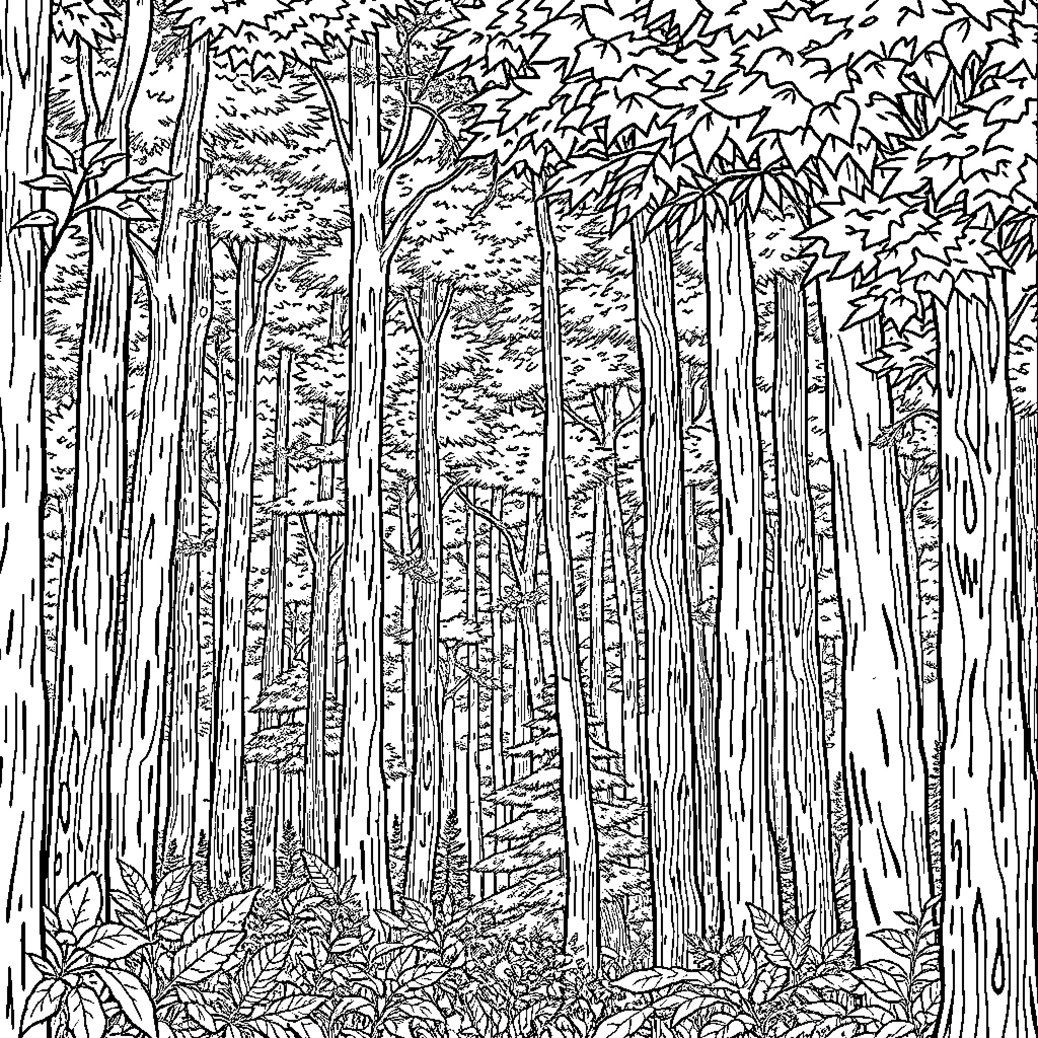 Forest with dense foliage and intricate patterns Coloring Page (free black-and-white line drawing printable PDF for all, from beginners to advanced learners, including children, teens, adults, and seniors)