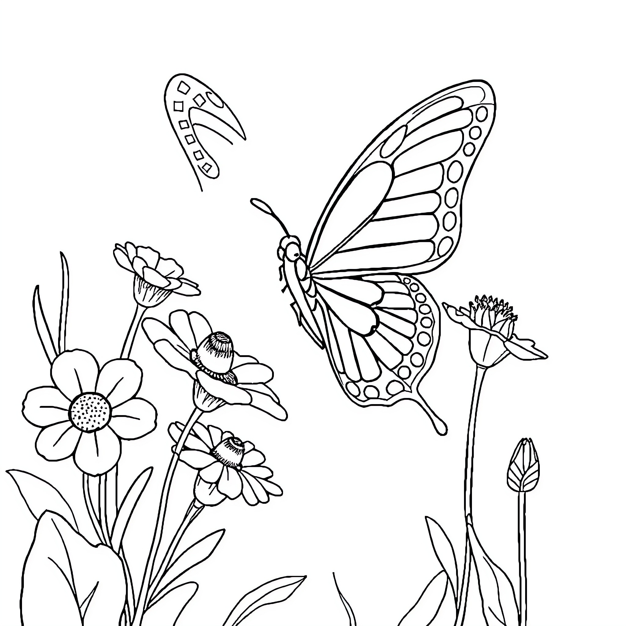 Butterfly flying amidst flowers and plants Coloring Page (free black-and-white line drawing printable PDF for all, from beginners to advanced learners, including children, teens, adults, and seniors)