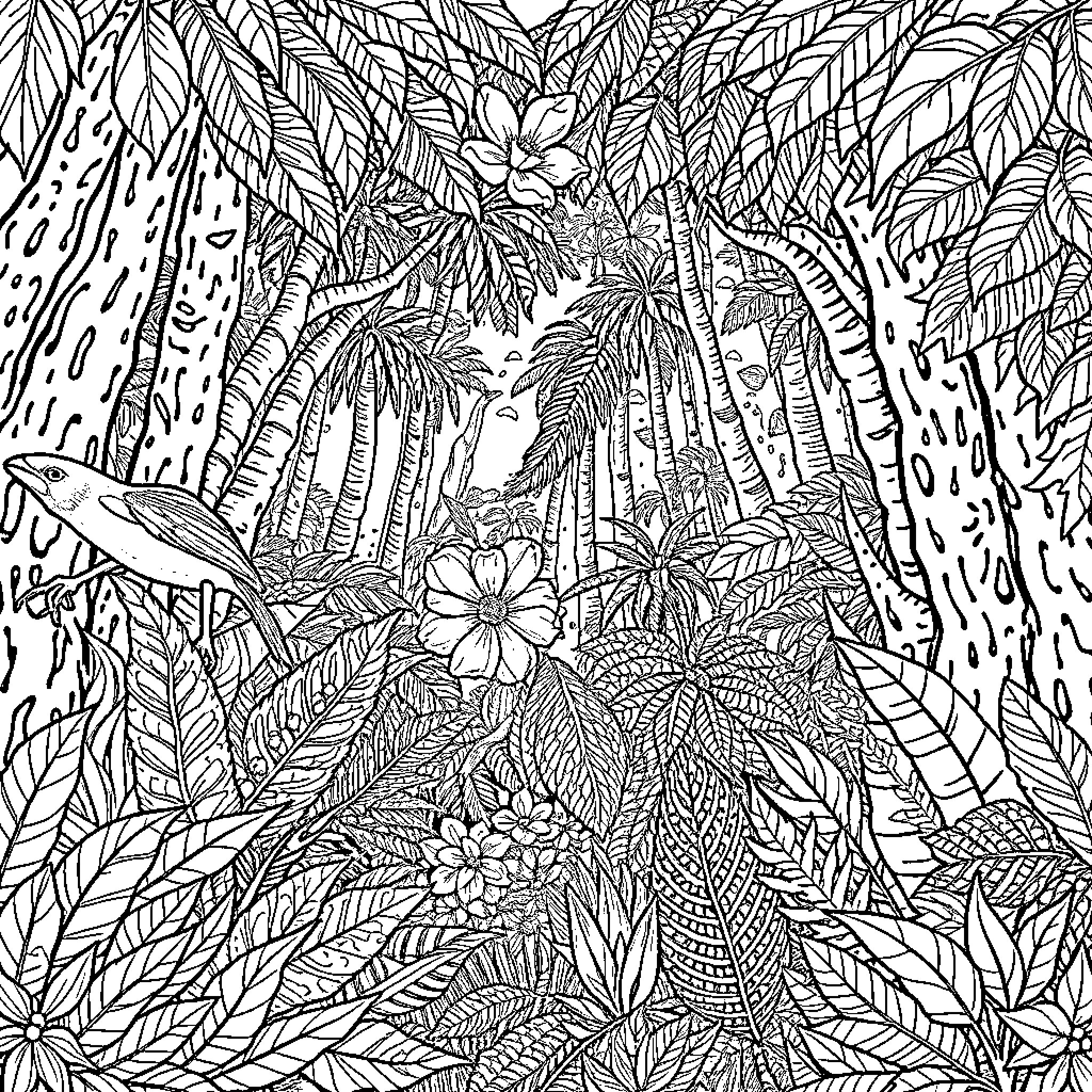 Jungle Canopy with Lush Vegetation Coloring Page (free black-and-white line drawing printable PDF for all, from beginners to advanced learners, including children, teens, adults, and seniors)