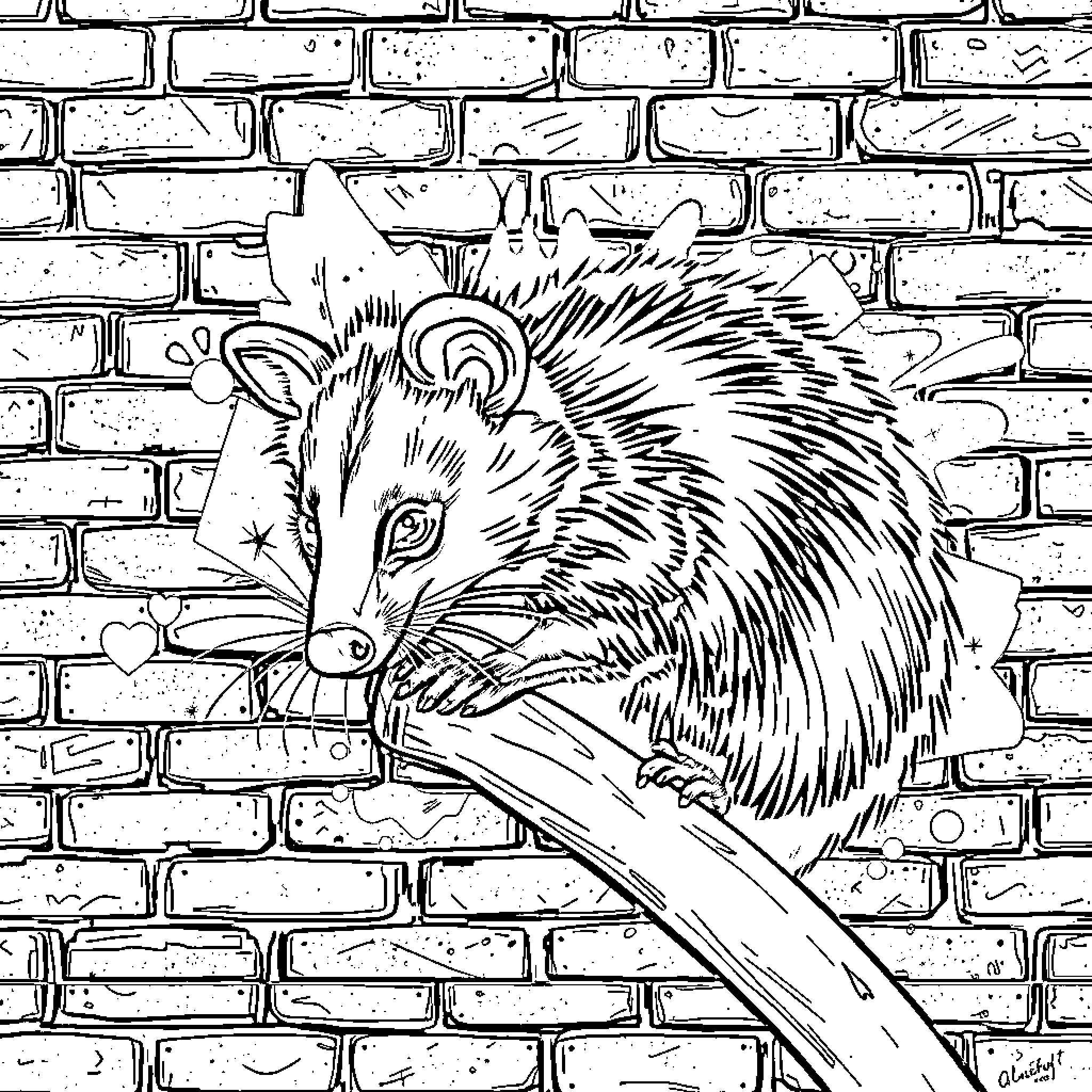 Opossum peering curiously from brick wall Coloring Page (free black-and-white line drawing printable PDF for all, from beginners to advanced learners, including children, teens, adults, and seniors)