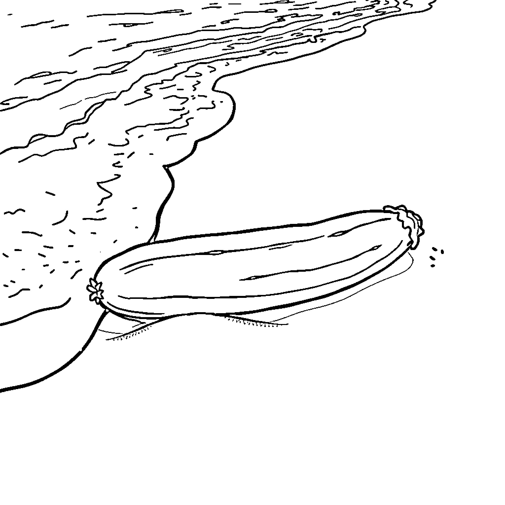 Pickle floating in the ocean Coloring Page (free black-and-white line drawing printable PDF for all, from beginners to advanced learners, including children, teens, adults, and seniors)