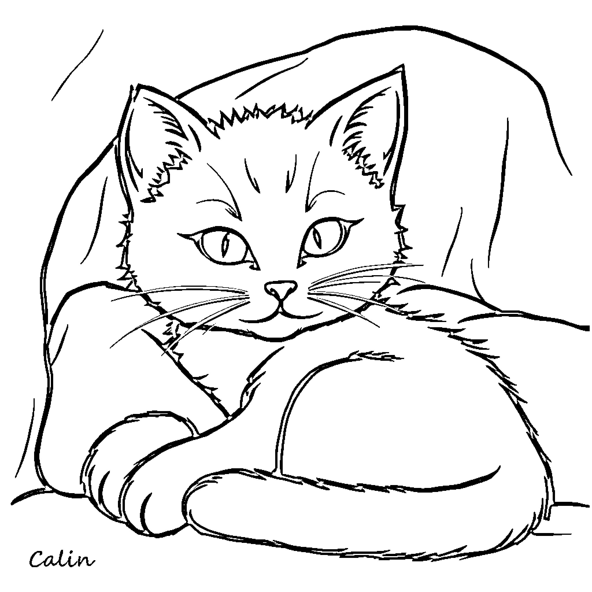 Chat with a Curious Cat Coloring Page (free black-and-white line drawing printable PDF for all, from beginners to advanced learners, including children, teens, adults, and seniors)