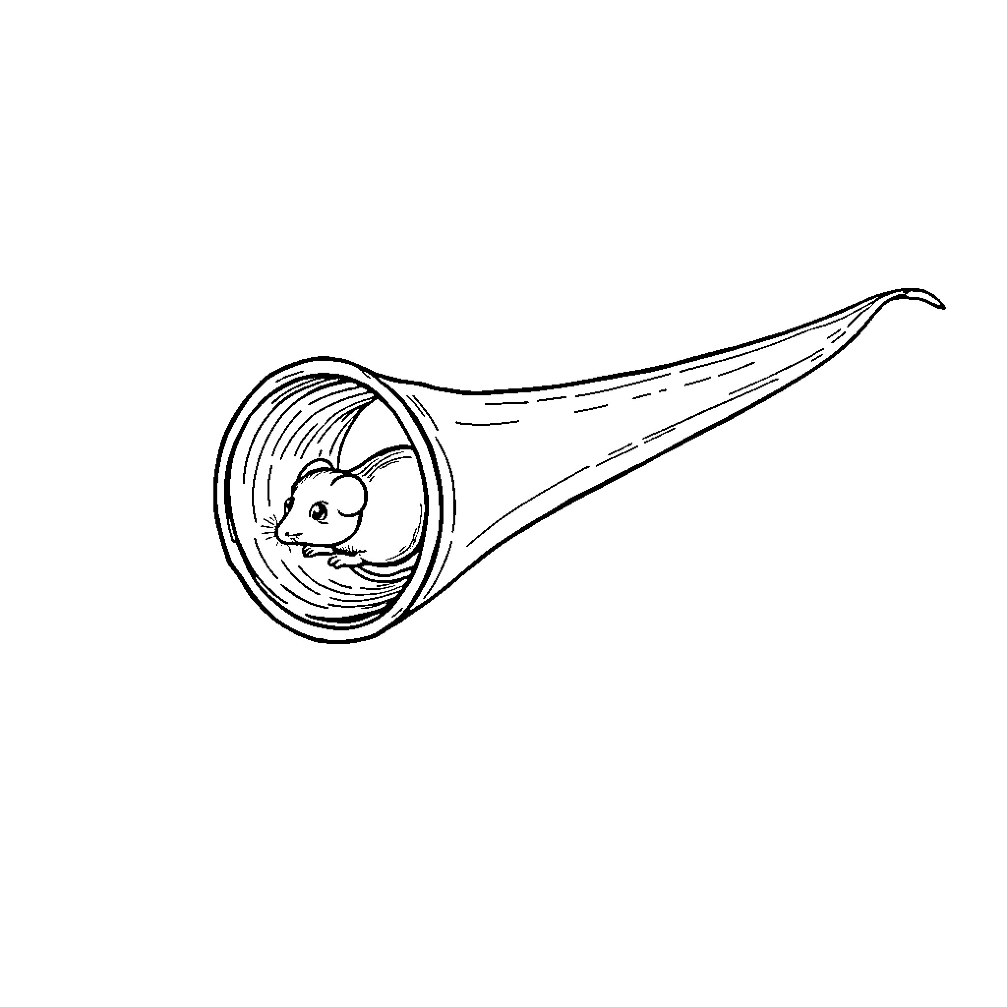 Mouse peeking out of a musical horn Coloring Page (free black-and-white line drawing printable PDF for all, from beginners to advanced learners, including children, teens, adults, and seniors)