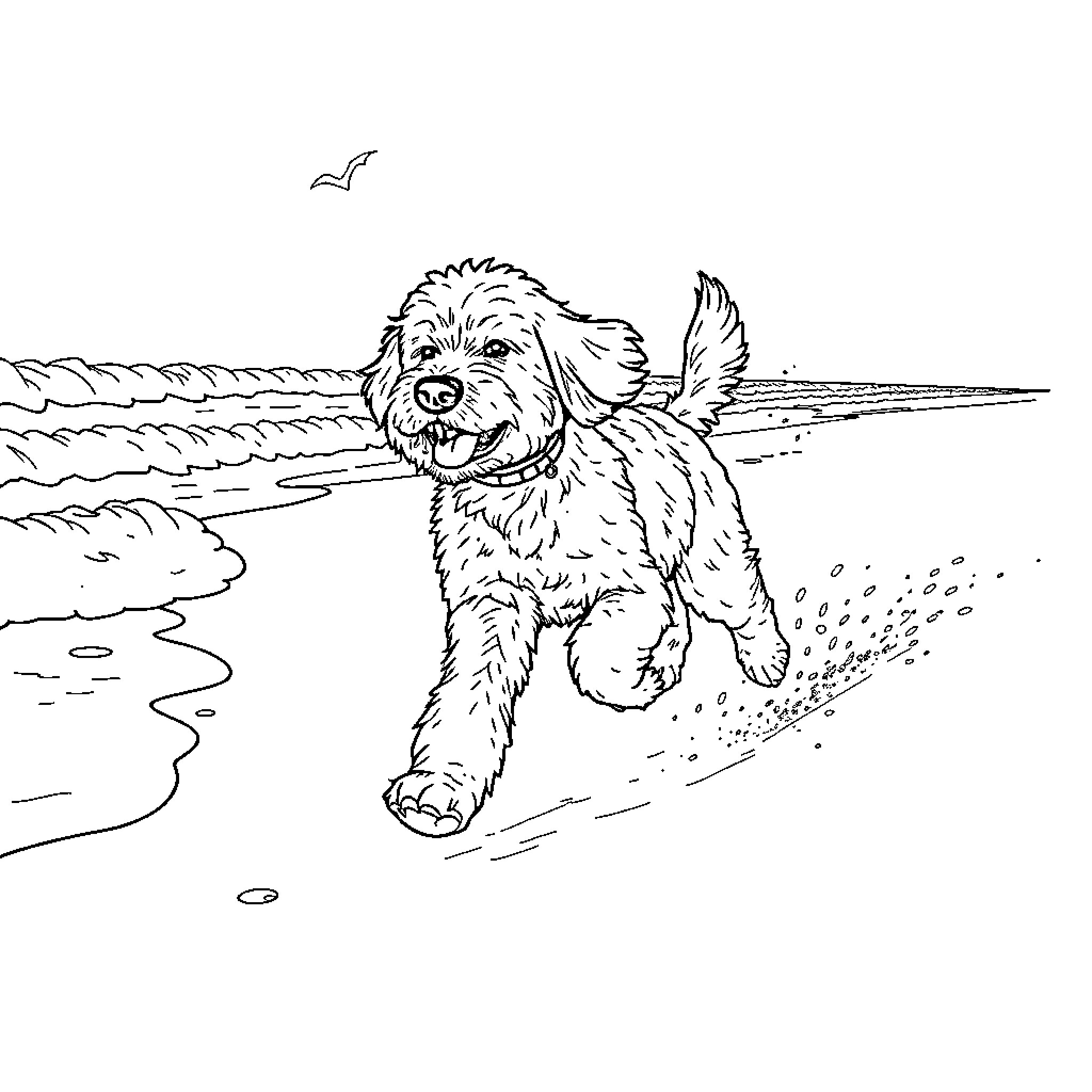 Doodle of a playful puppy running on the beach Coloring Page (free black-and-white line drawing printable PDF for all, from beginners to advanced learners, including children, teens, adults, and seniors)