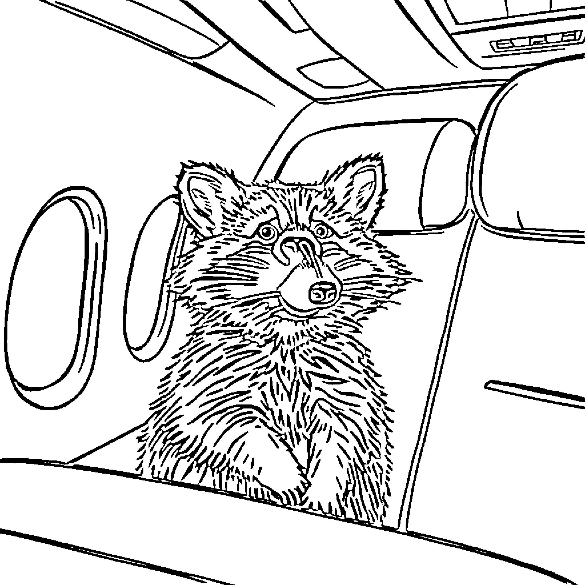 Raccoon peering out from inside a car Coloring Page (free black-and-white line drawing printable PDF for all, from beginners to advanced learners, including children, teens, adults, and seniors)